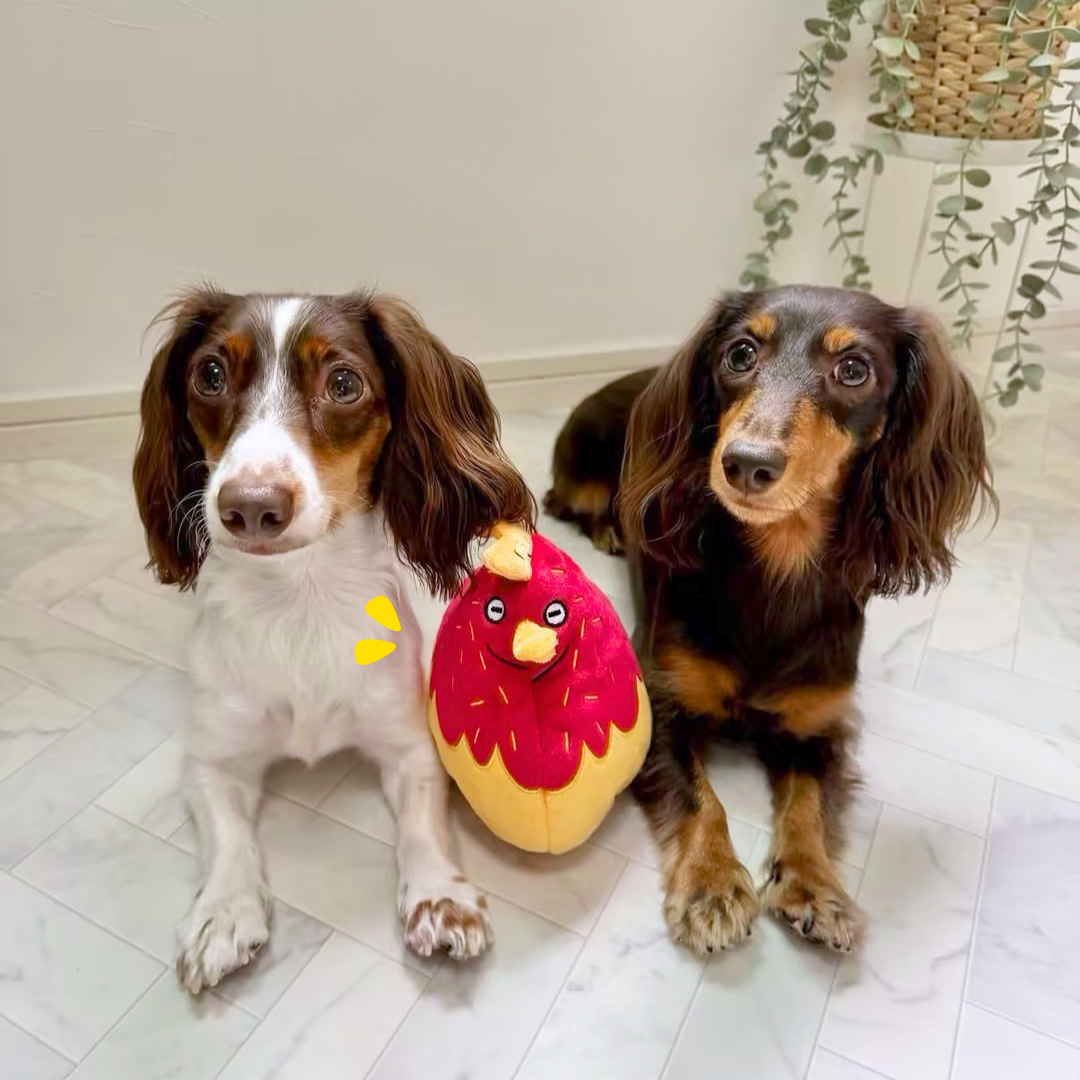 Hen & Chick Squeaky Treat-Hiding Plush Toy
