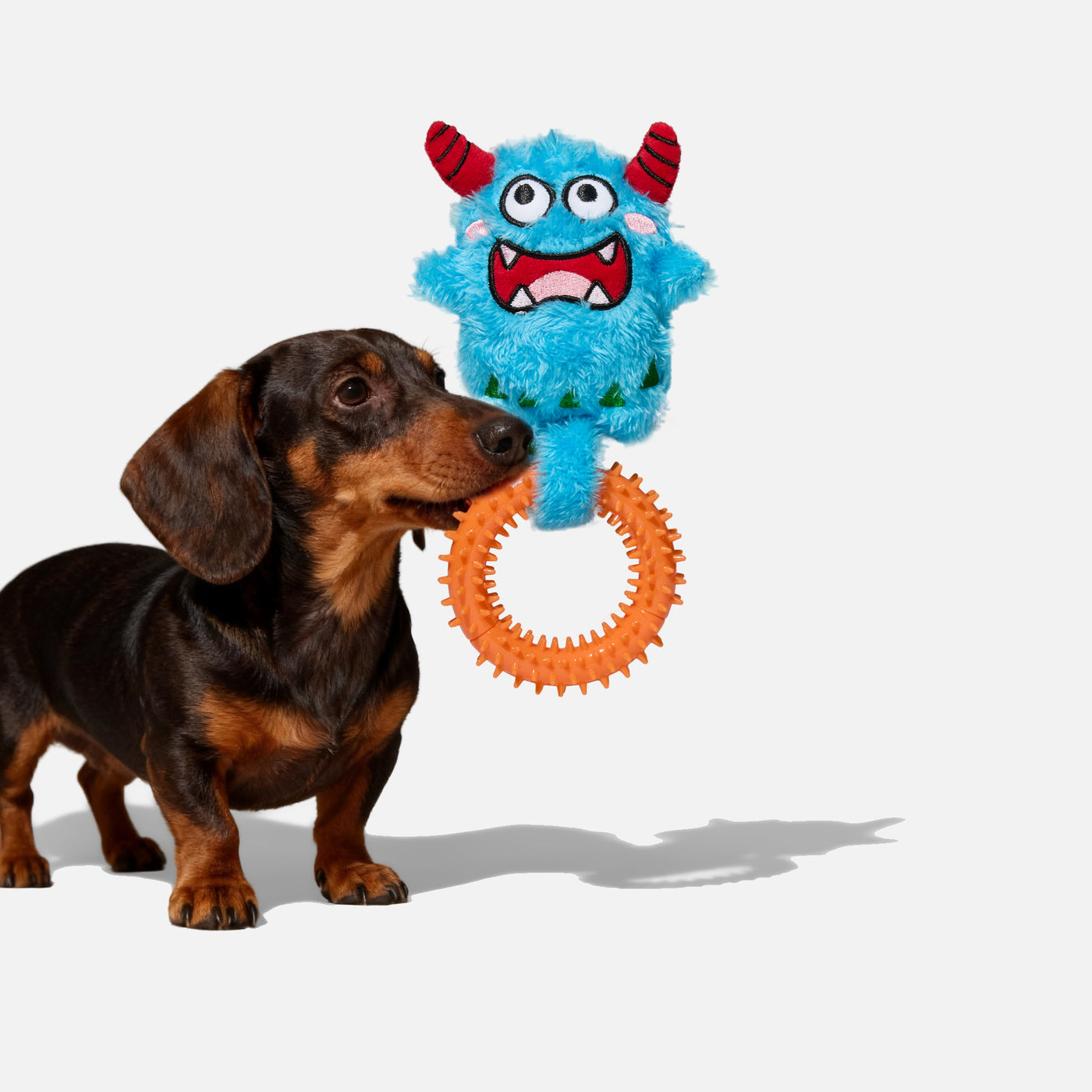 Bluebo Plush & Chew Ring 2-in-1 Dog Toy