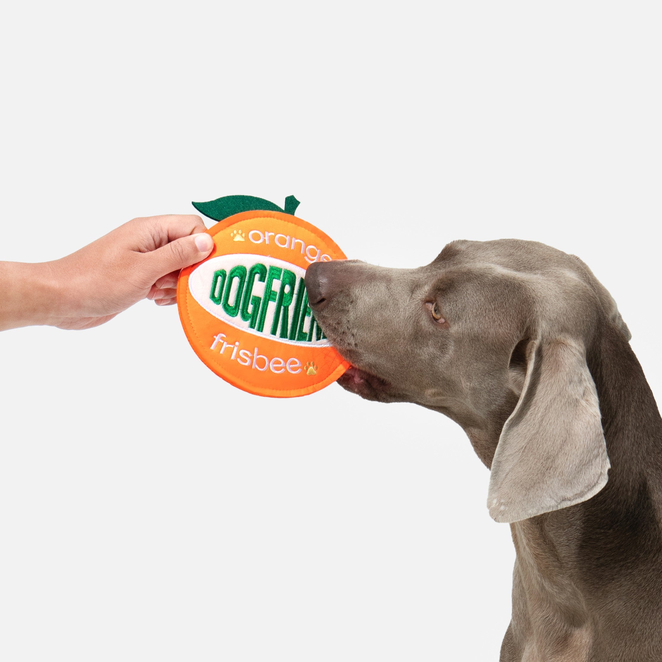 オレンジ 鳴き笛＆カシャカシャ入り ソフトディスクトイ（犬用）