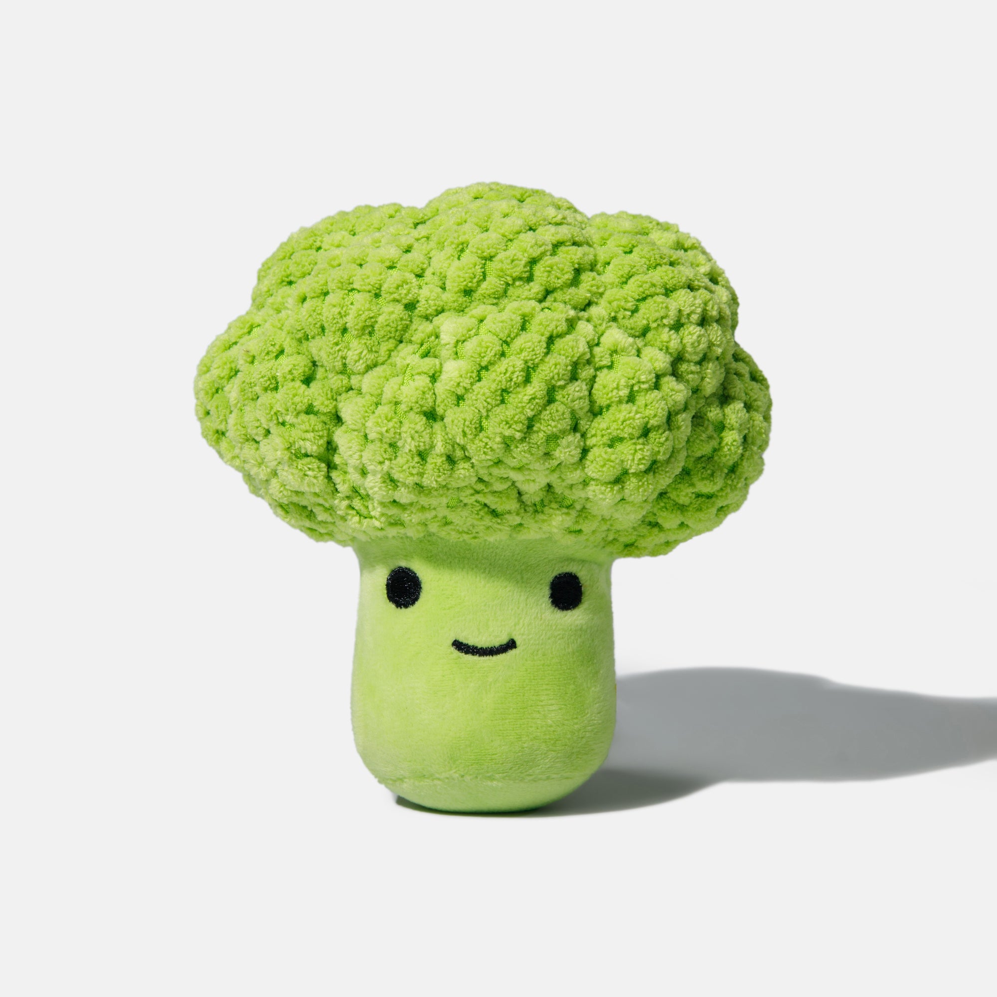 Squeaky Broccoli Plush Dog Toy