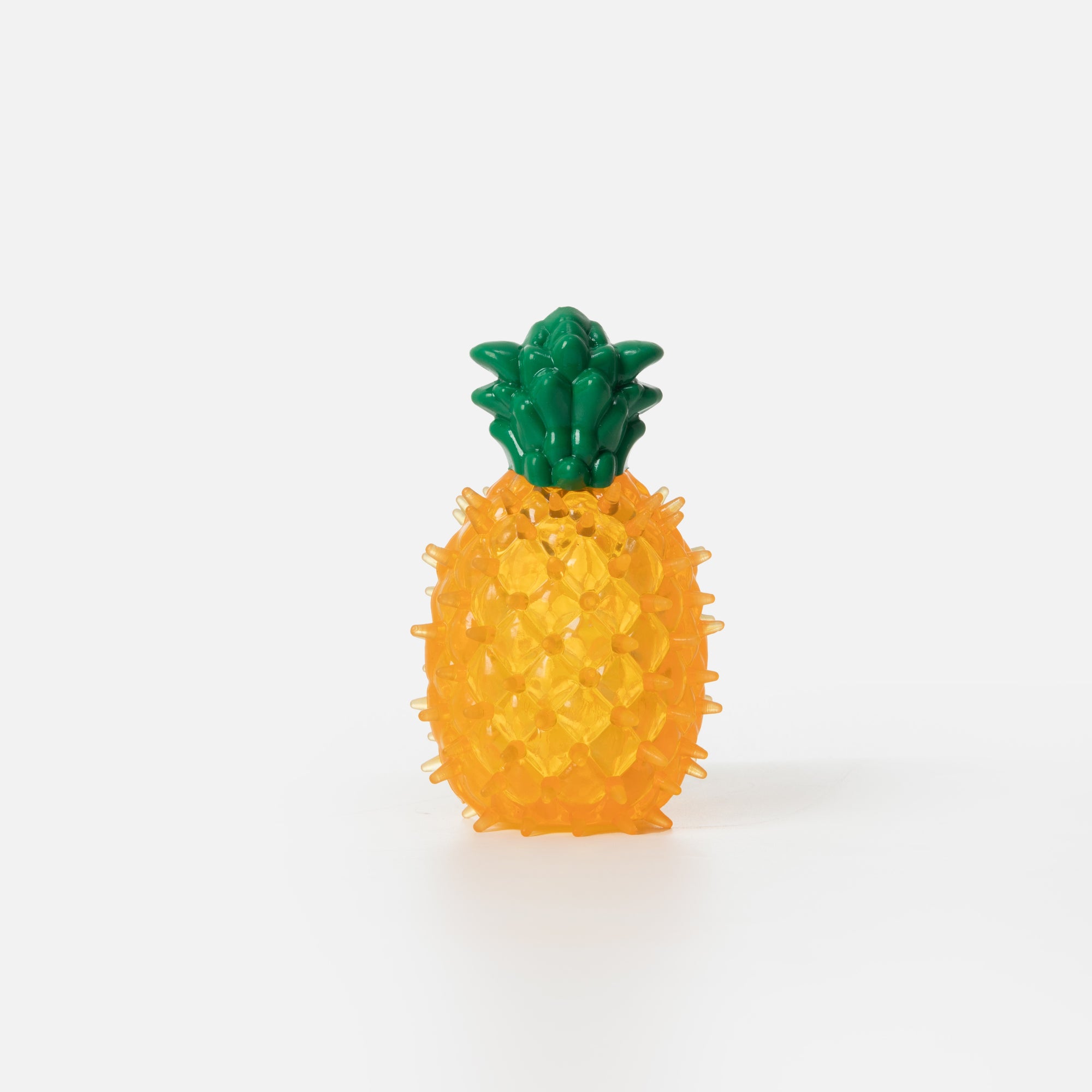 Pineapple Squeaky Chew Toy