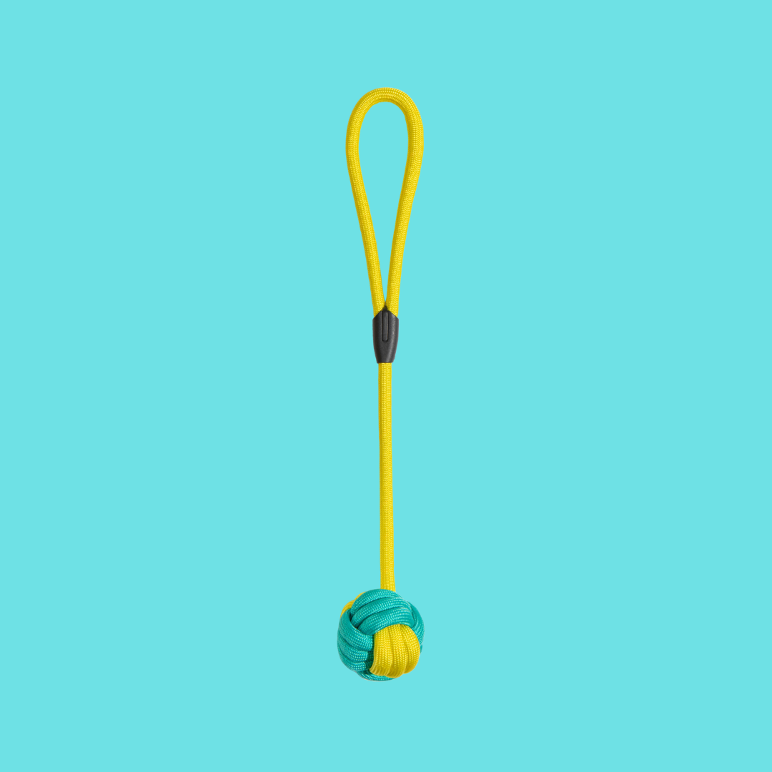 Long Rope Knot Ball Dog Toy