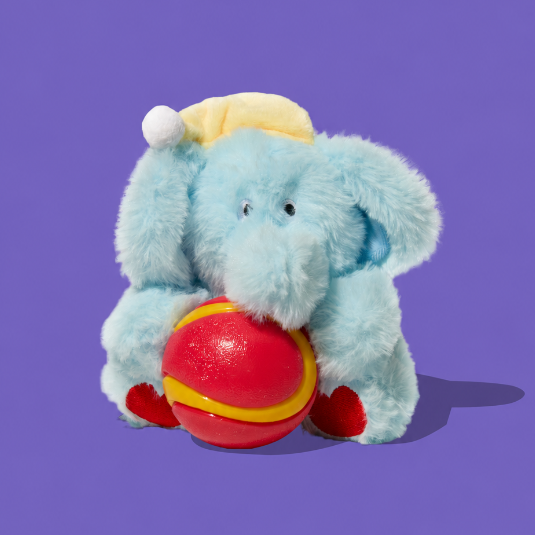 Sleepy Ellie Plush & Chew Ball 2-in-1 Dog Toy
