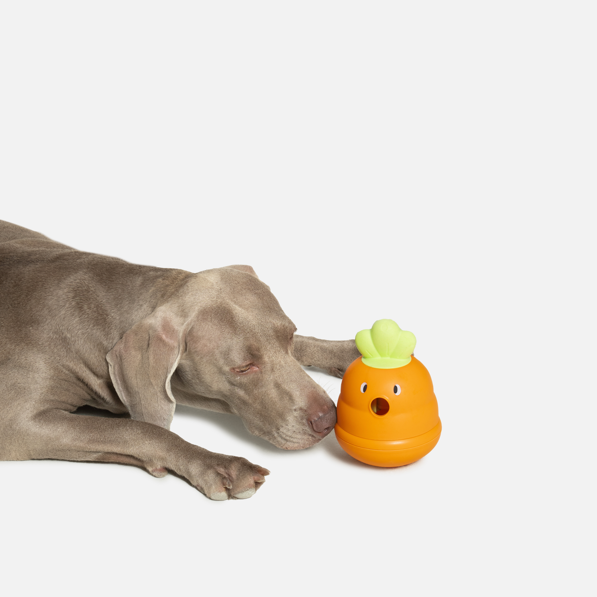 Wobble Carrot Interactive Dog Toy