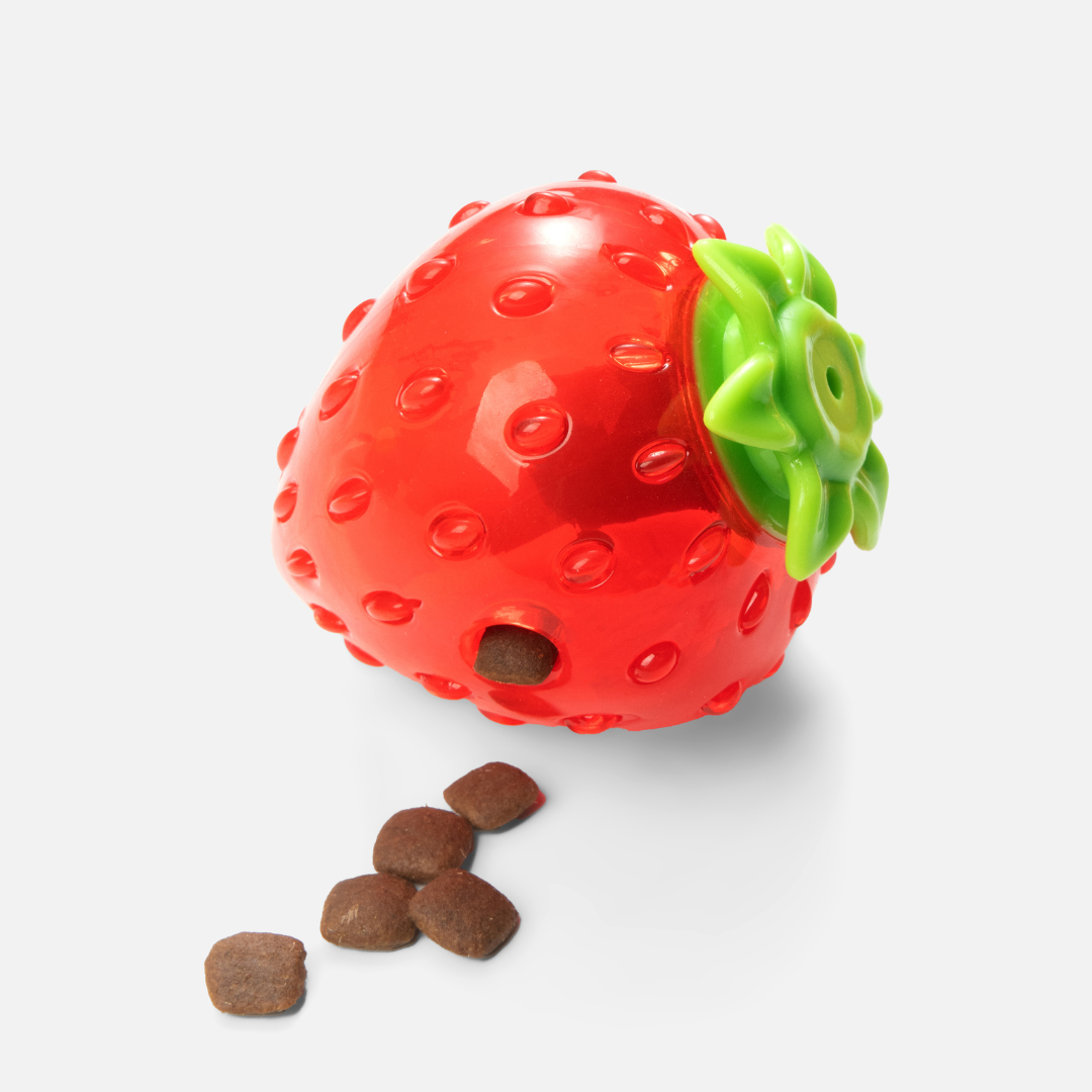 Strawberry Treat-Dispensing Chew Toy