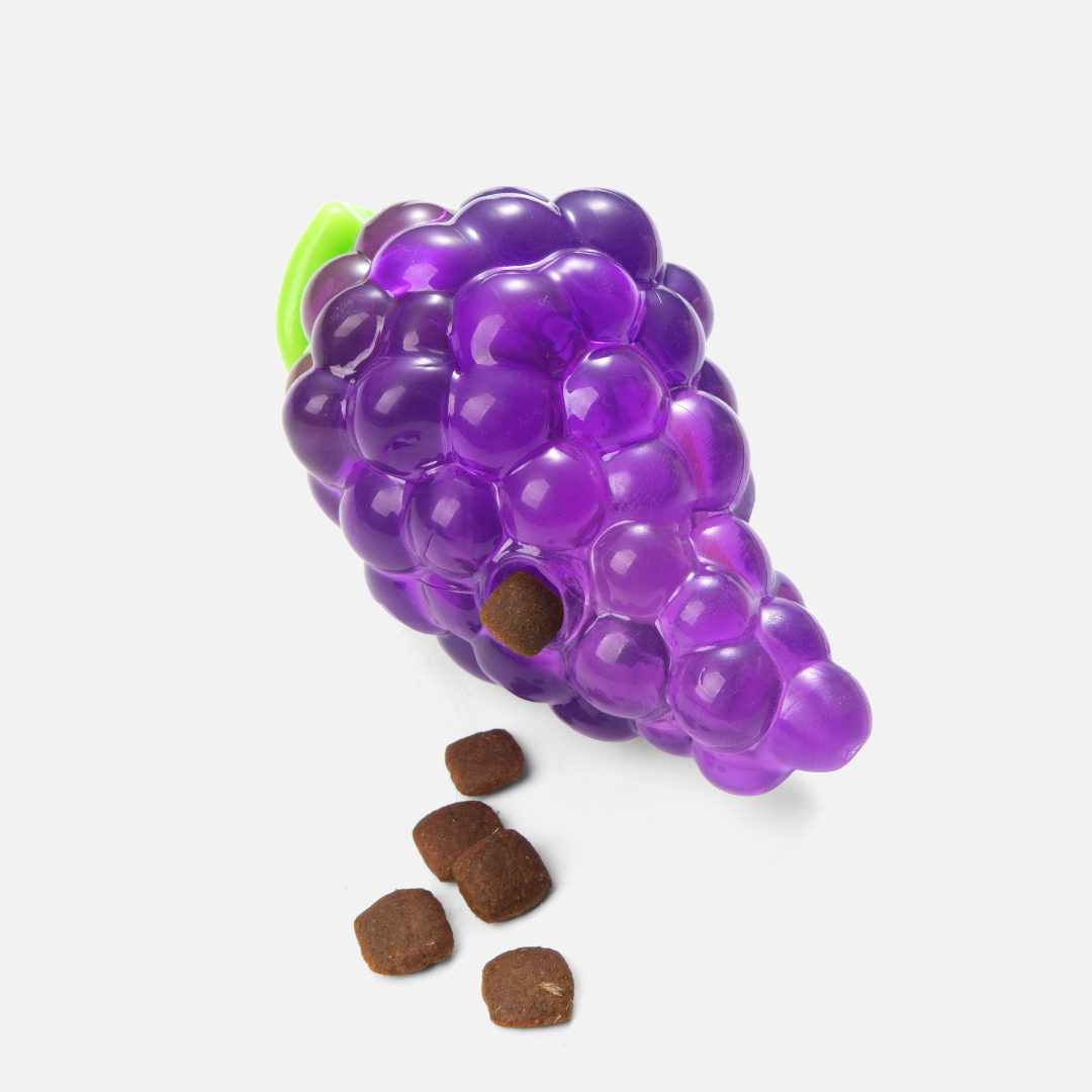 Grape Treat-Dispensing Chew Toy