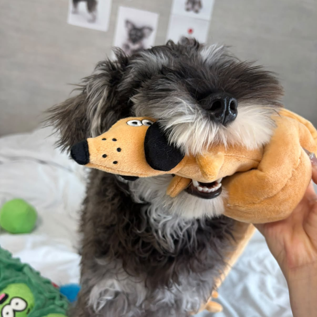 Baguette Squeaky Treat-Hiding Dog Toy