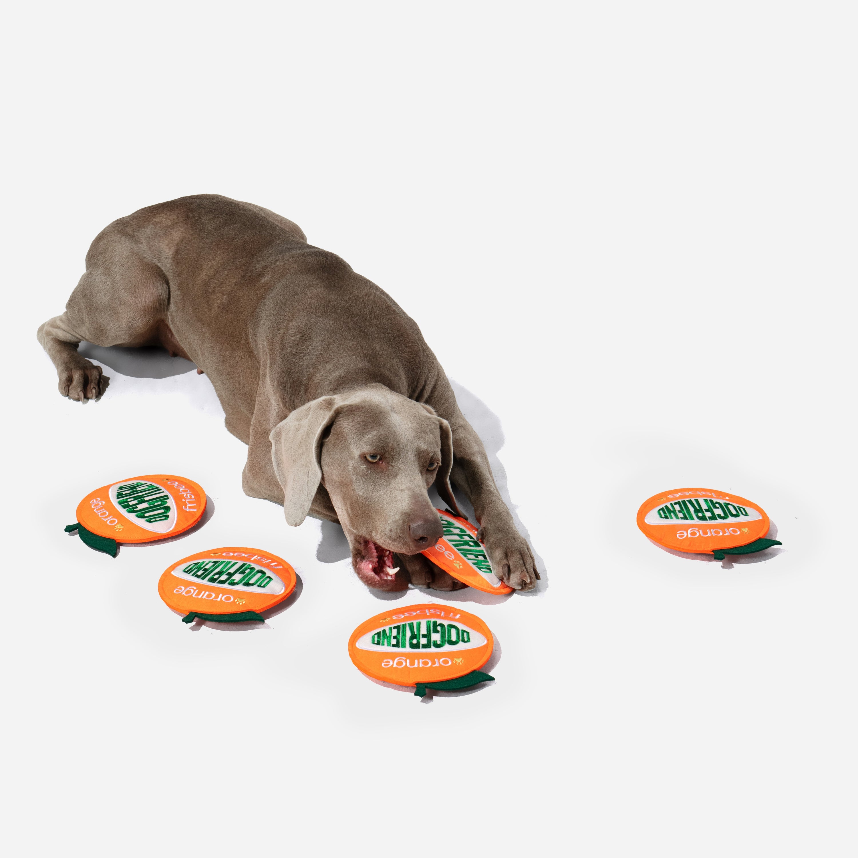 オレンジ 鳴き笛＆カシャカシャ入り ソフトディスクトイ（犬用）