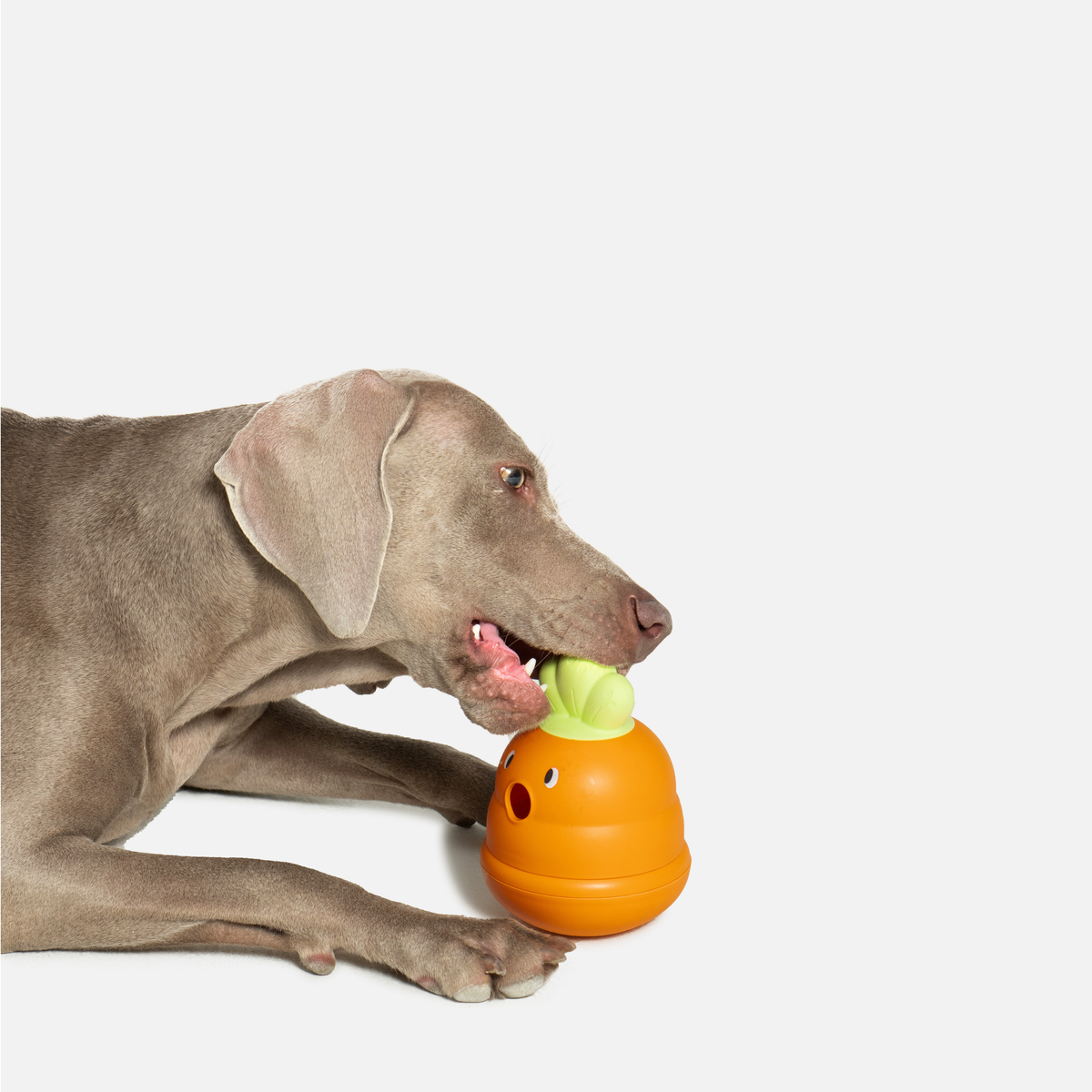 Wobble Carrot Interactive Dog Toy
