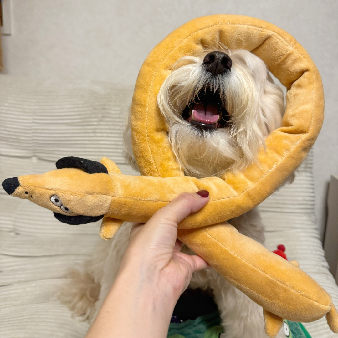 Baguette Squeaky Treat-Hiding Dog Toy