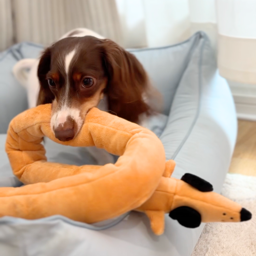 Baguette Squeaky Treat-Hiding Dog Toy