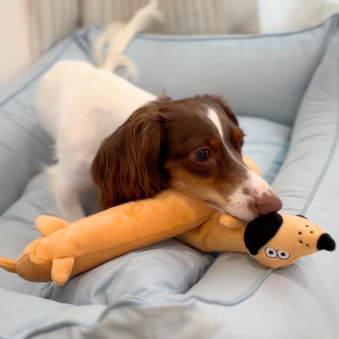 Baguette Squeaky Treat-Hiding Dog Toy