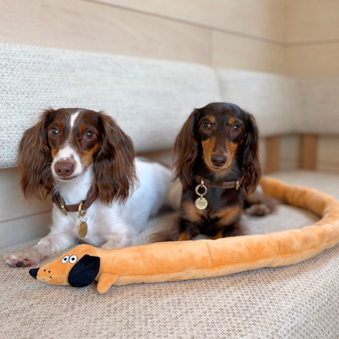 Baguette Squeaky Treat-Hiding Dog Toy