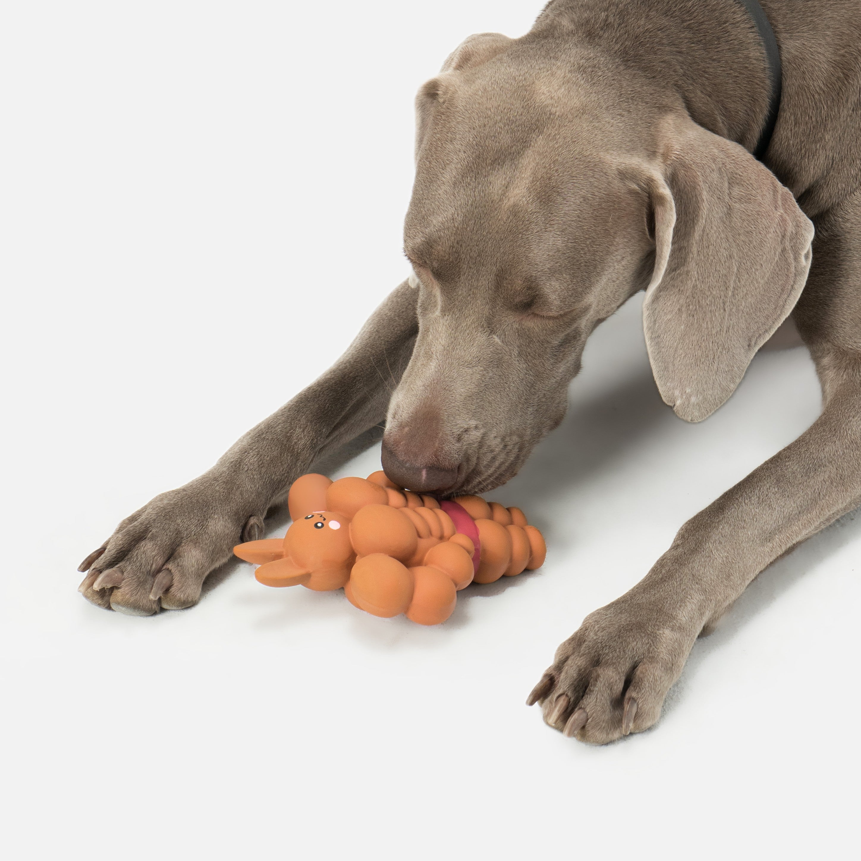 Mighty Bunny Tough Chew Squeaky Toy