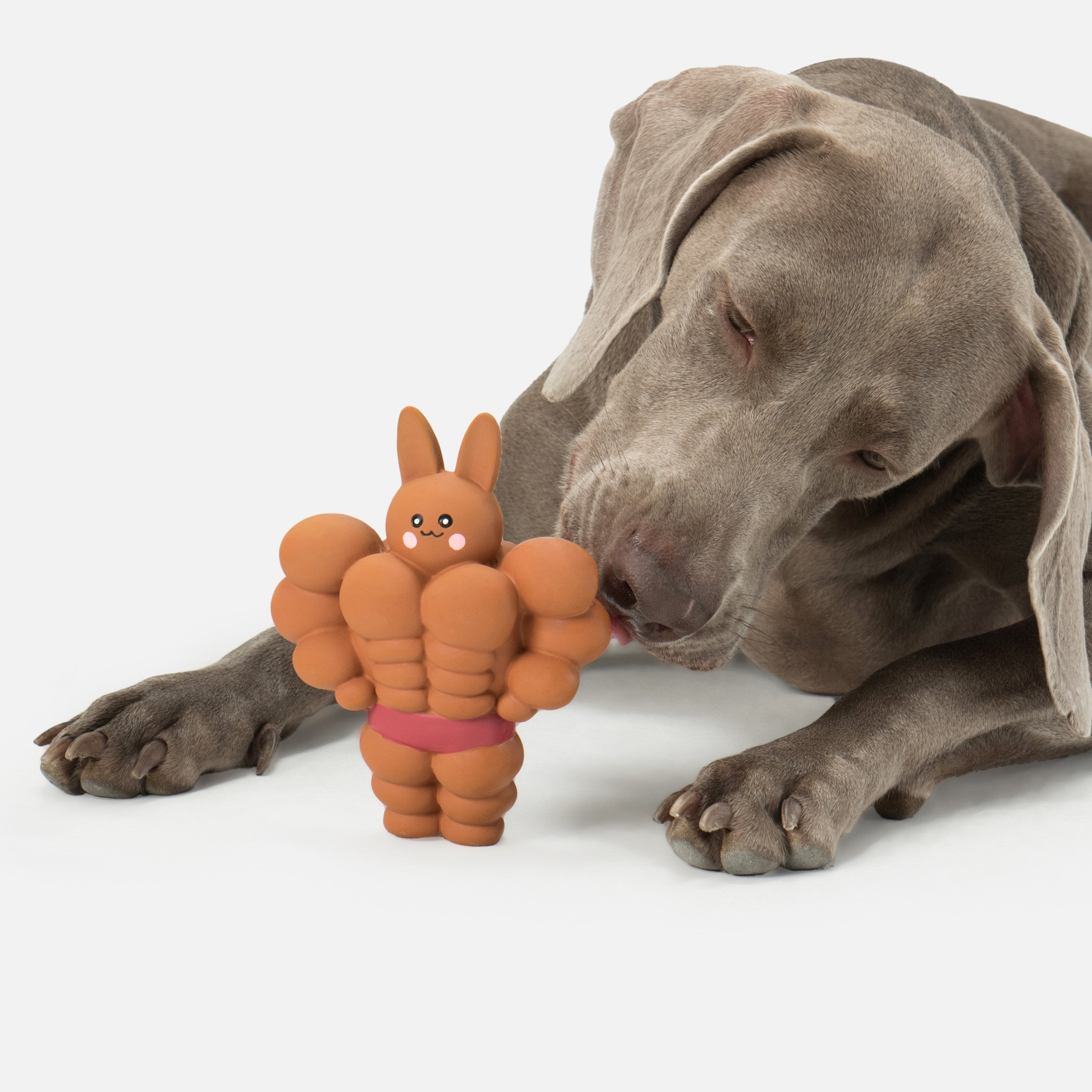 Mighty Bunny Tough Chew Squeaky Toy