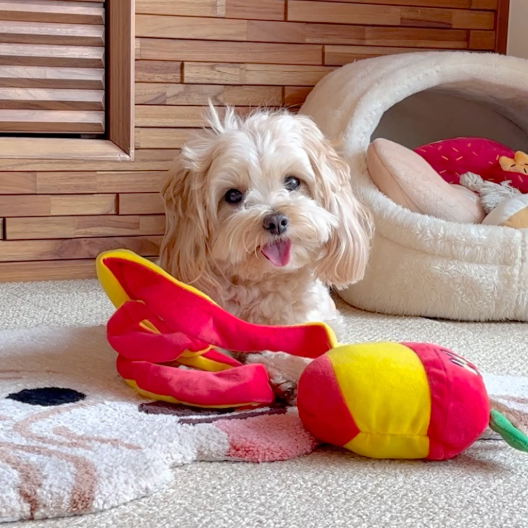 Apple Peel Squeaky Treat & Catnip Plush Toy