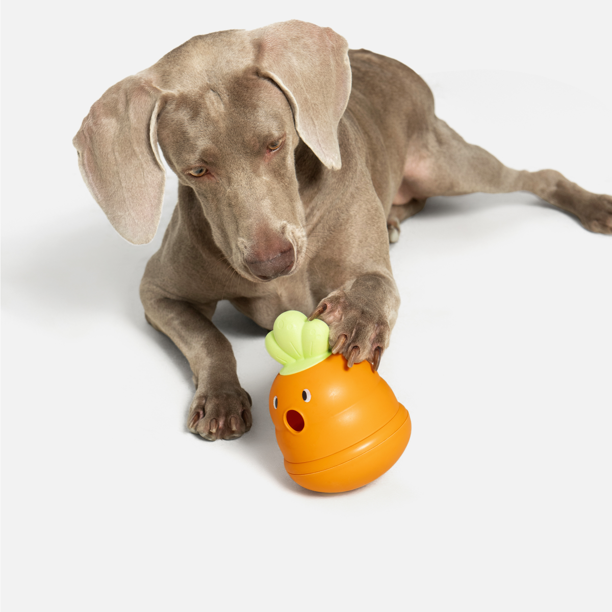 Wobble Carrot Interactive Dog Toy