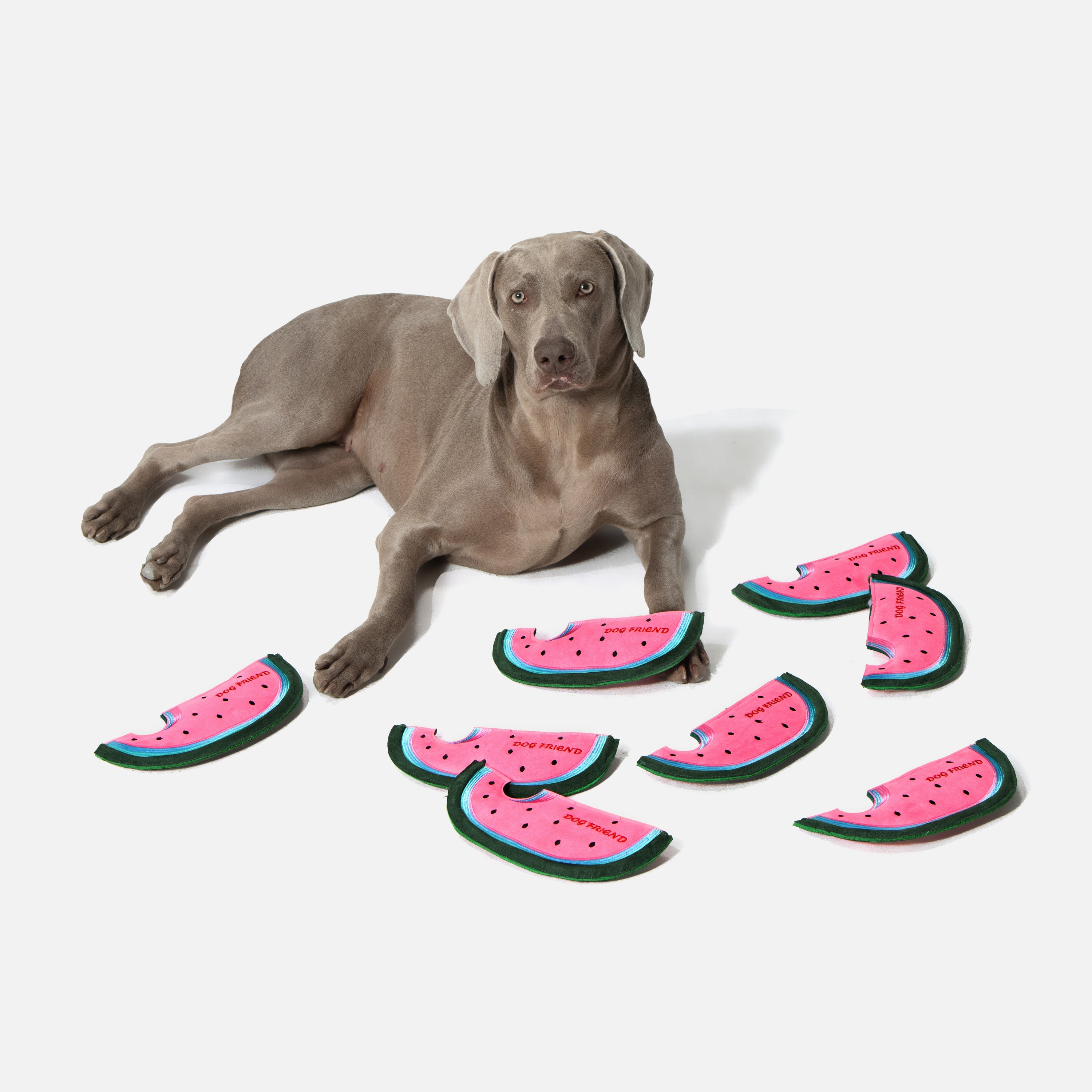 スイカ 鳴き笛＆カシャカシャ入り ソフトディスクトイ（犬用）