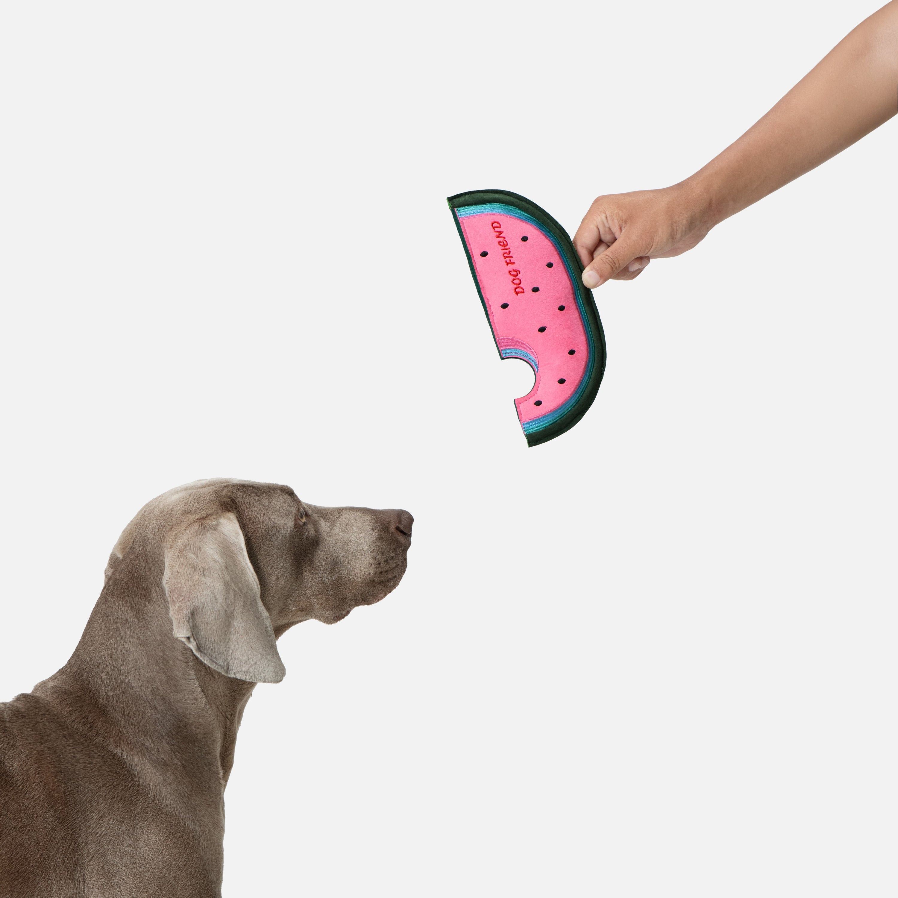 スイカ 鳴き笛＆カシャカシャ入り ソフトディスクトイ（犬用）