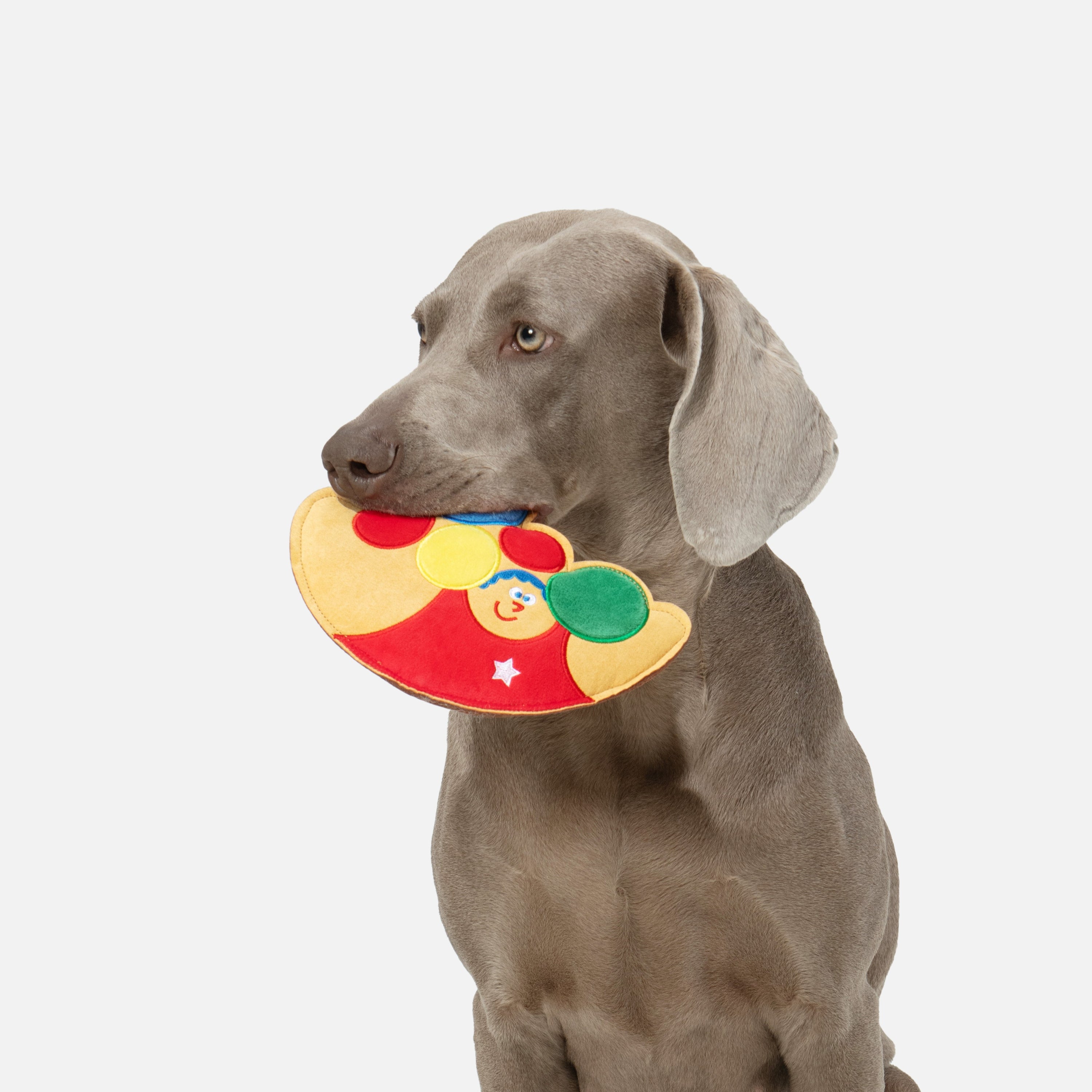 Mighty 鳴き笛＆カシャカシャ入り ソフトディスクトイ（犬用）