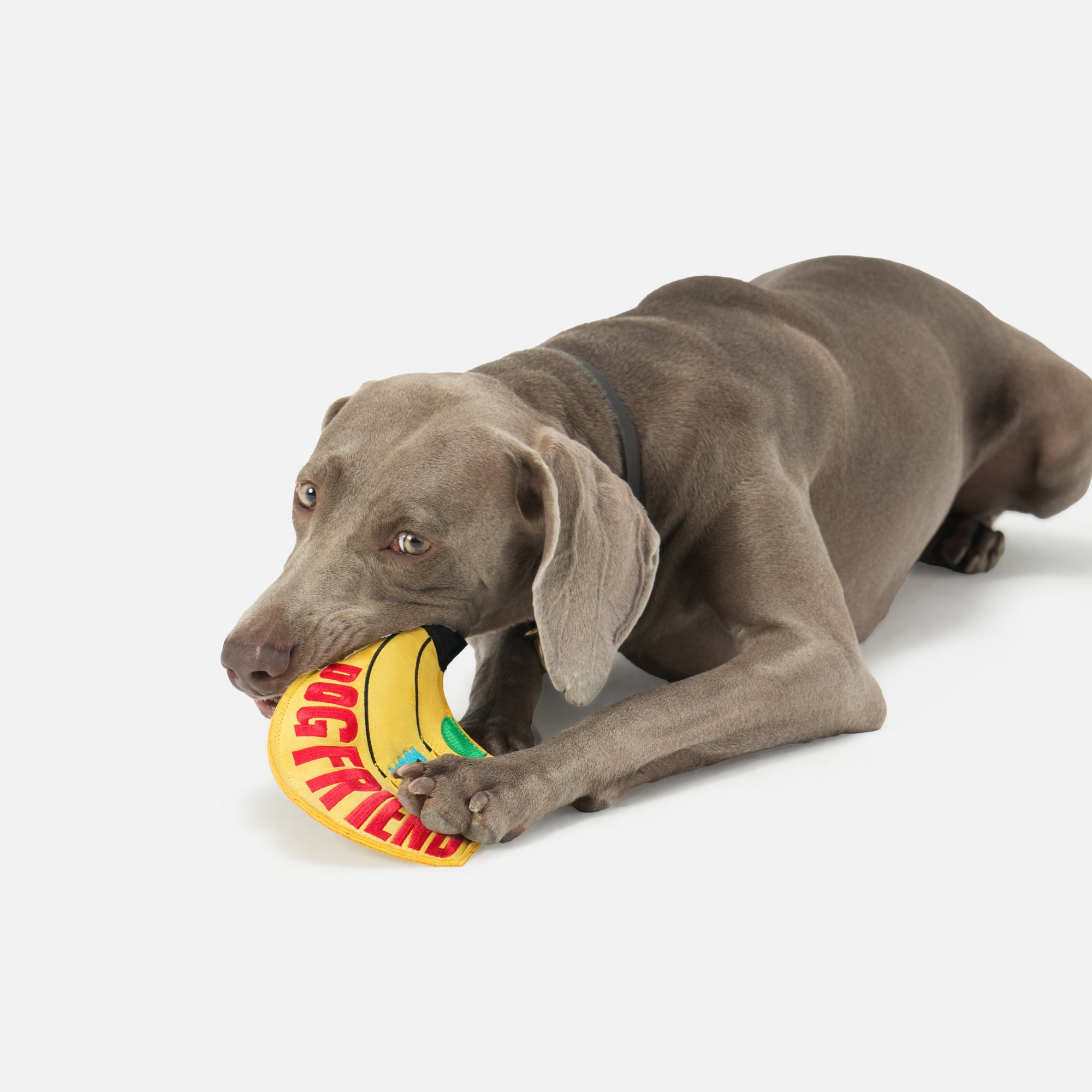Banana Squeaky Crinkle Plush Frisbee