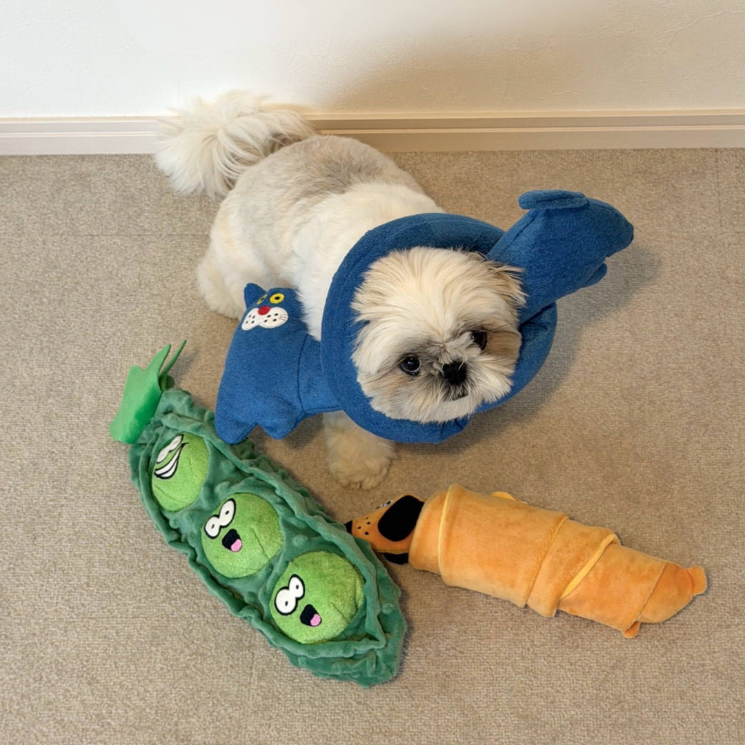 Wriggle Cat Squeaky Tug & Wrap Dog Toy
