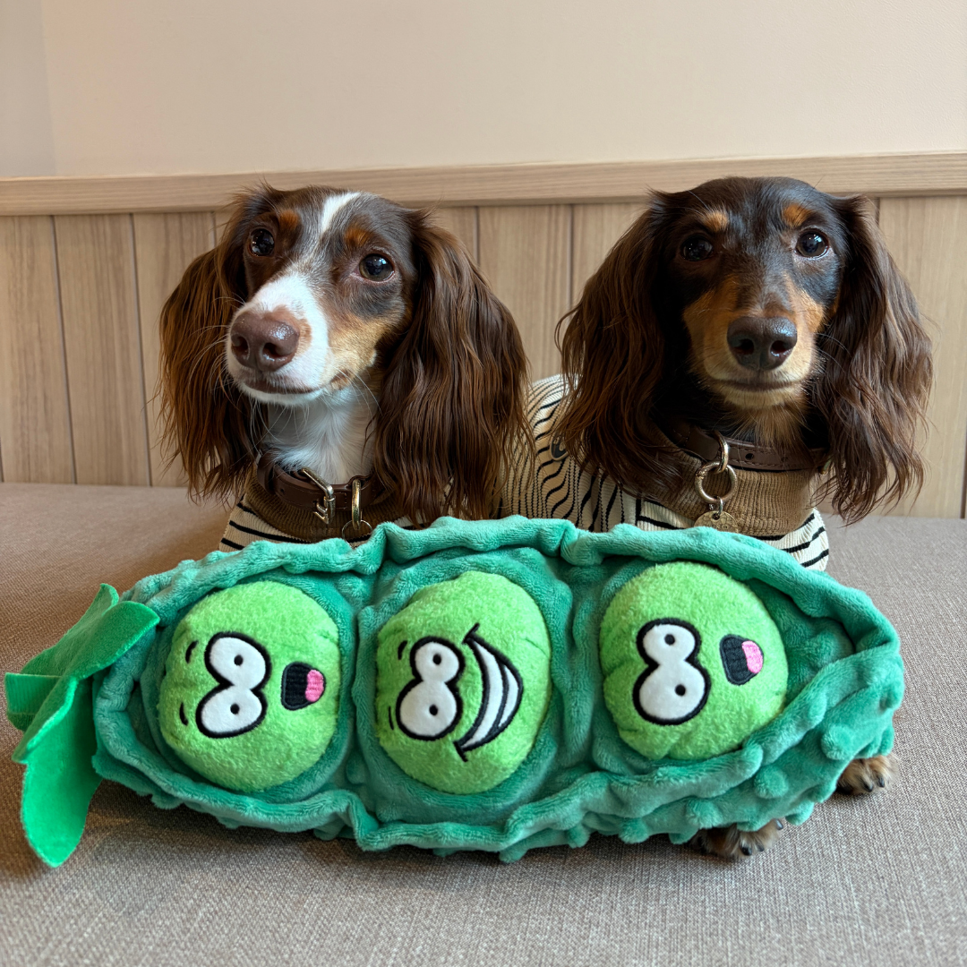 Pea Pod Squeaky Treat-Hiding Plush Toy
