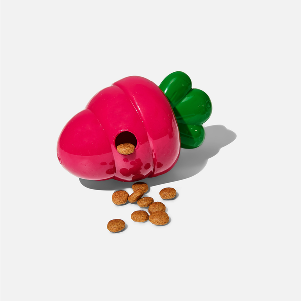 Carrot Treat-Dispensing Dog Toy