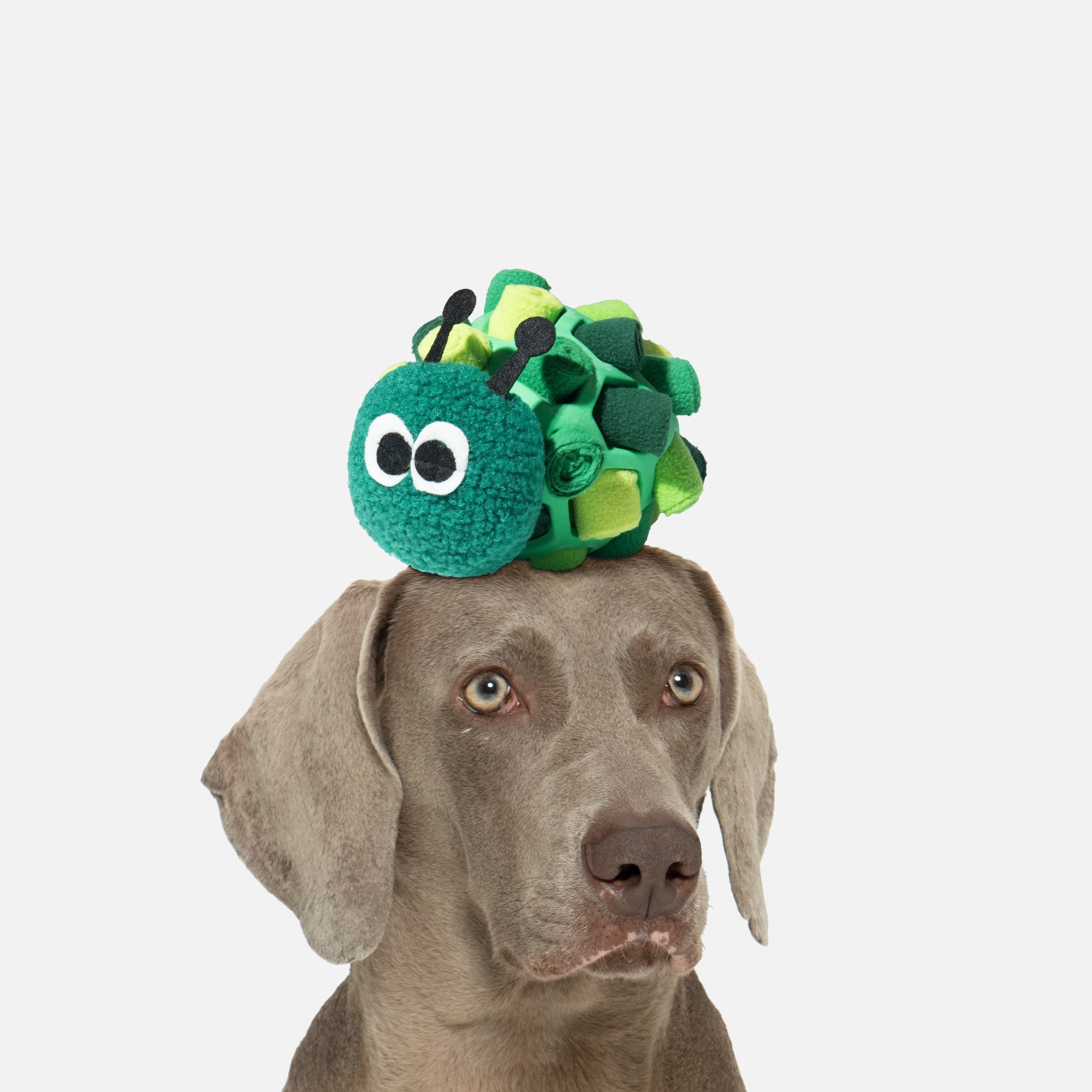 Caterpillar Squeaky Treat-Hiding Plush Toy