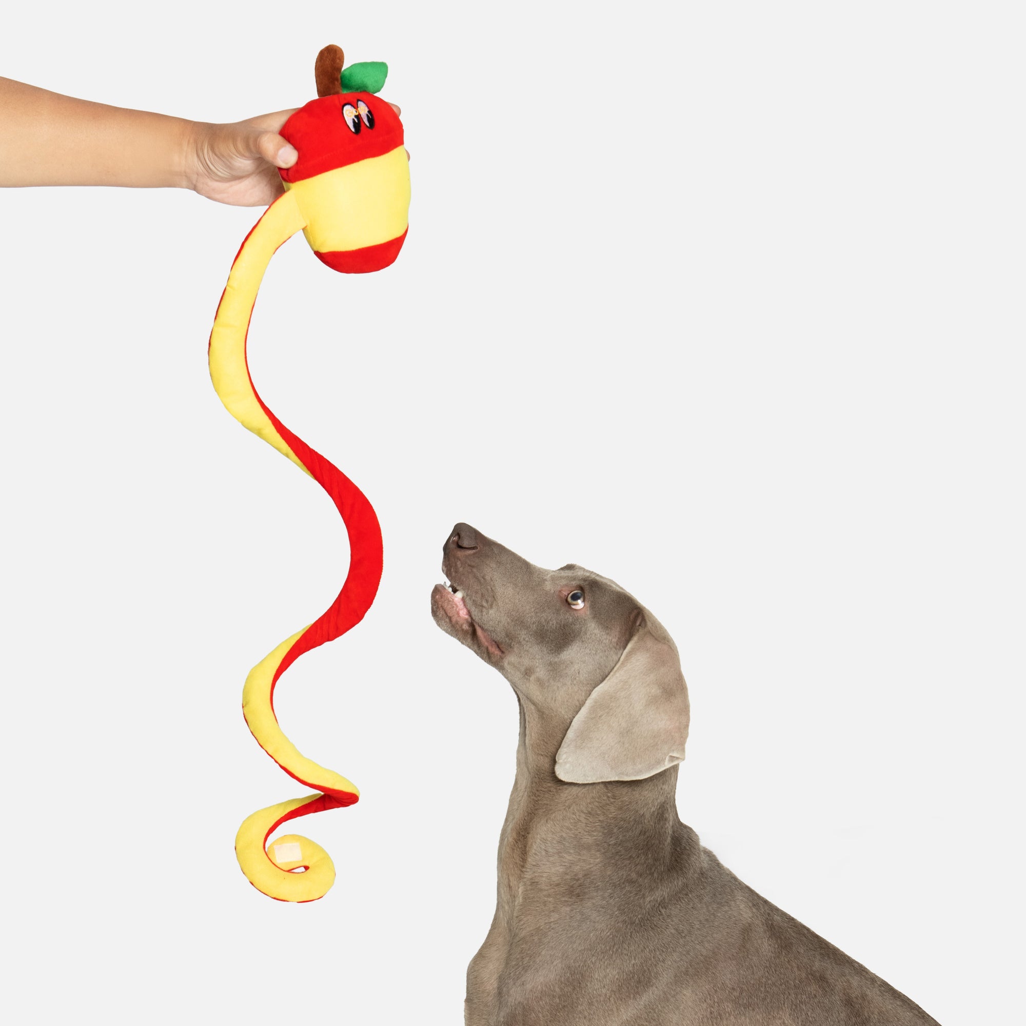 Apple Peel Squeaky Treat & Catnip Plush Toy