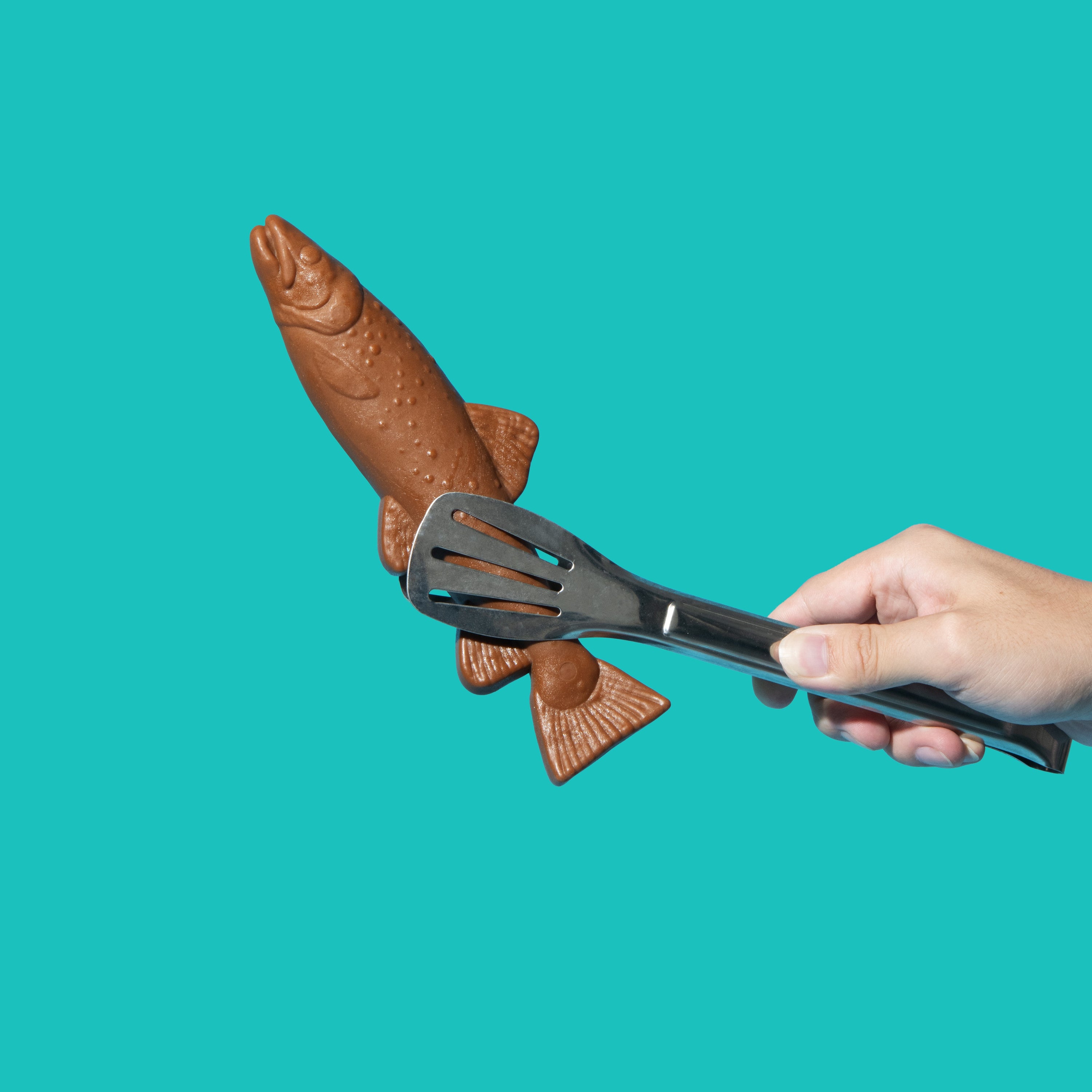 Sardine Wood Chew Stick