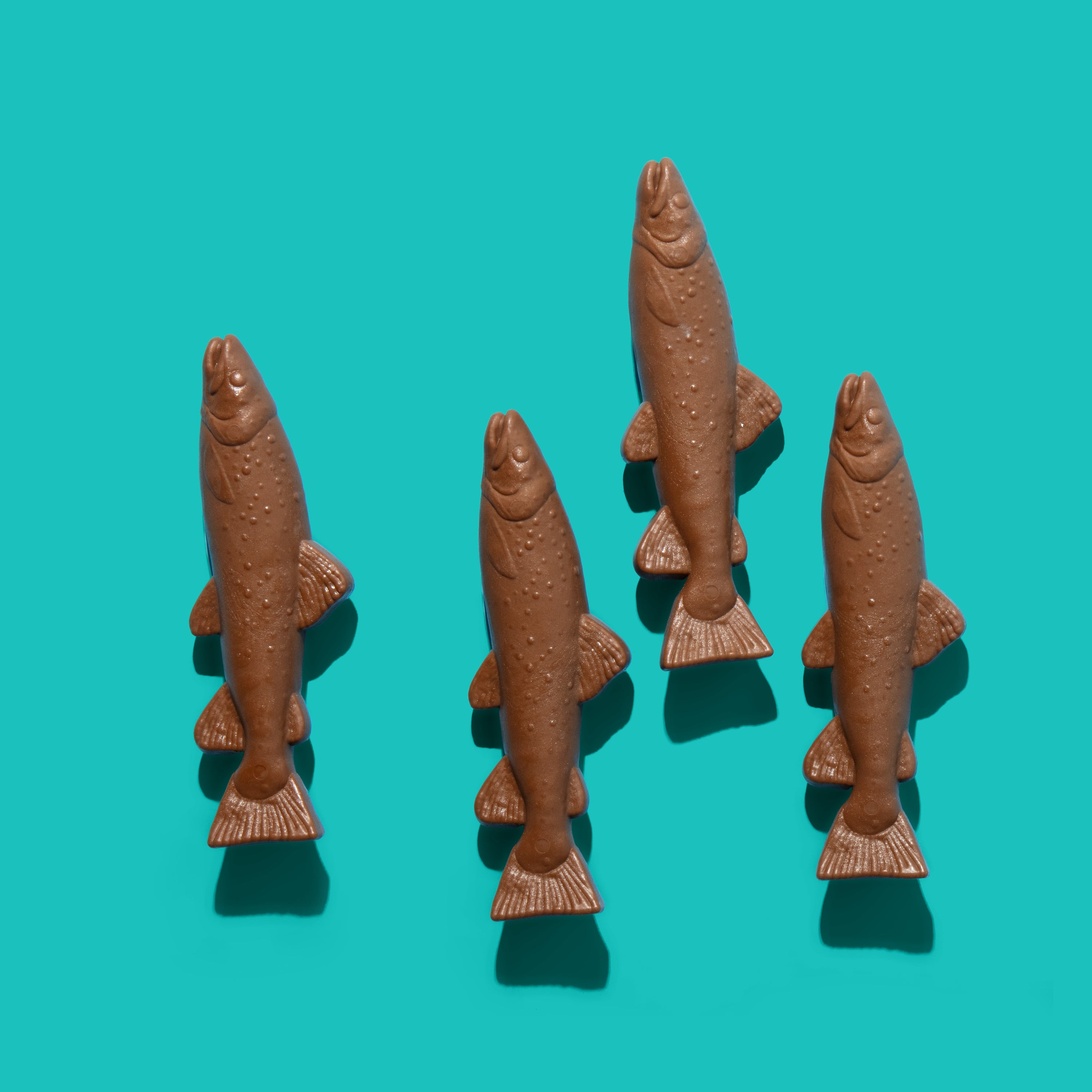 Sardine Wood Chew Stick