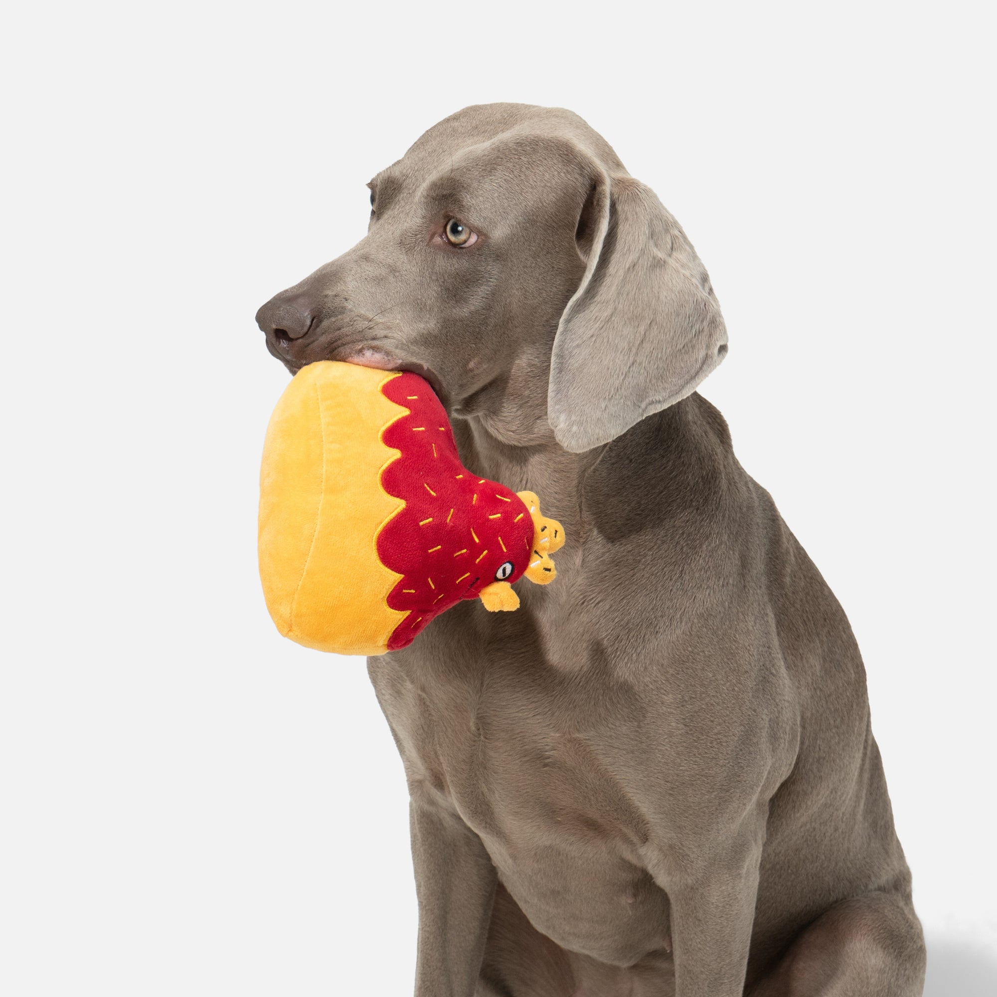 Hen & Chick Squeaky Treat-Hiding Plush Toy