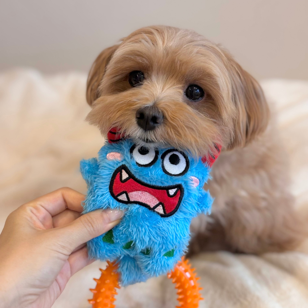 Bluebo Plush & Chew Ring 2-in-1 Dog Toy
