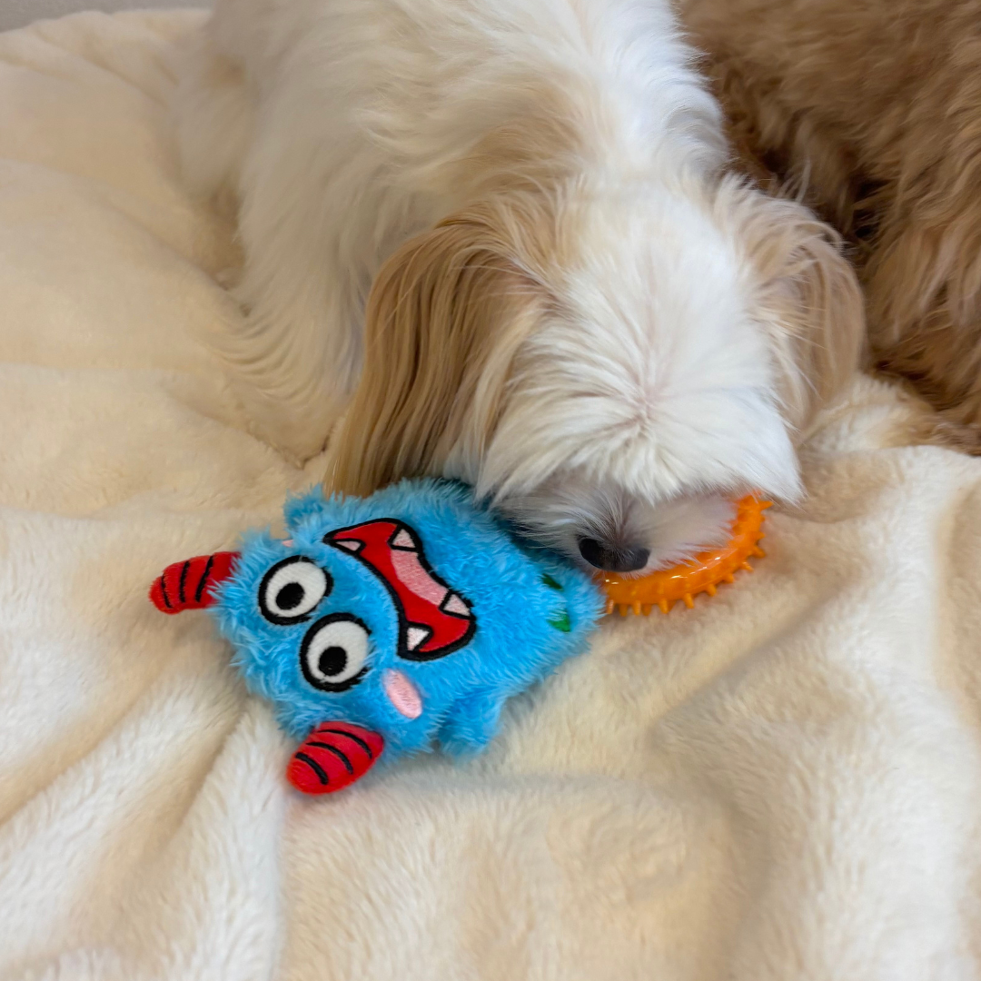 Bluebo Plush & Chew Ring 2-in-1 Dog Toy