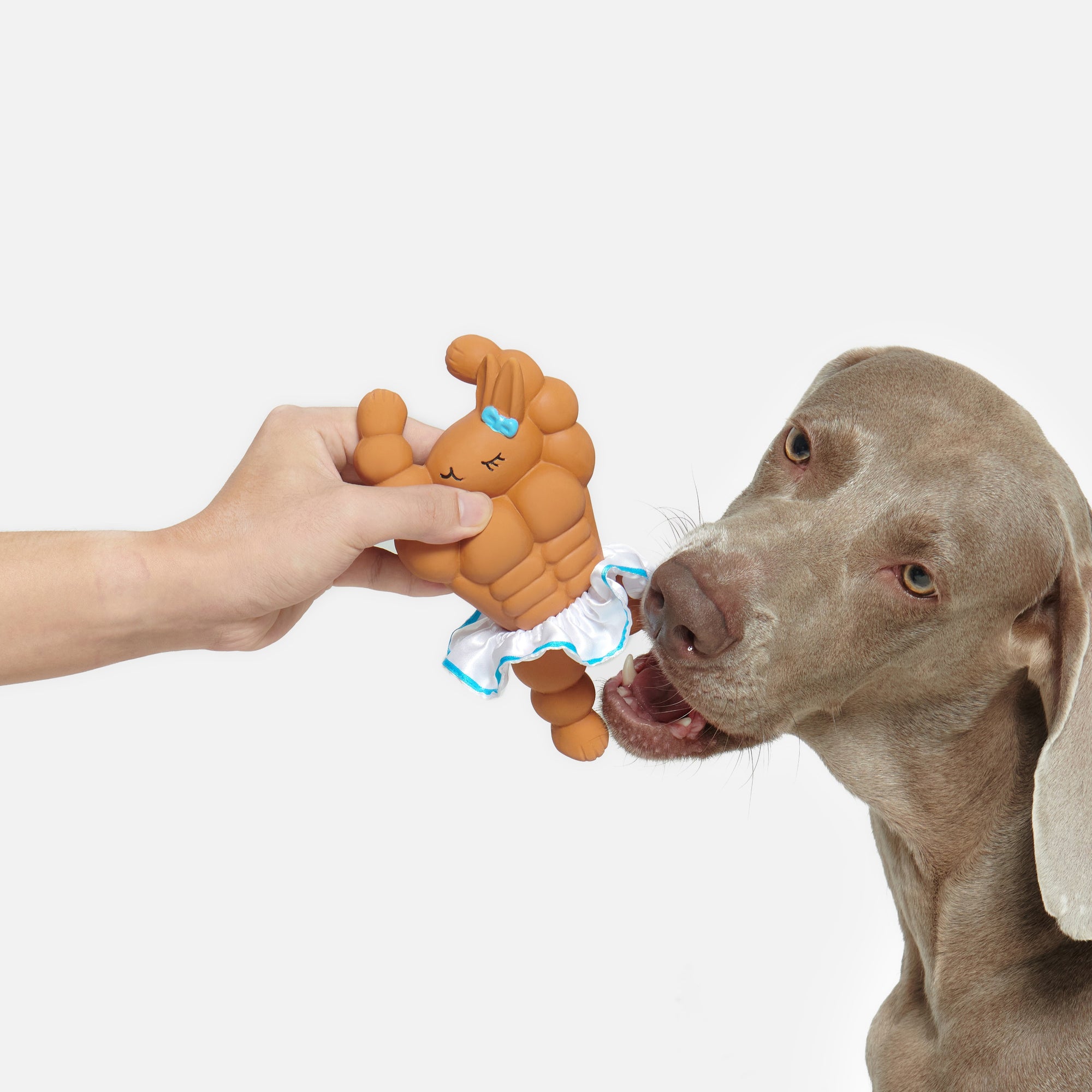 Ballet Bunny Tough Chew Squeaky Toy