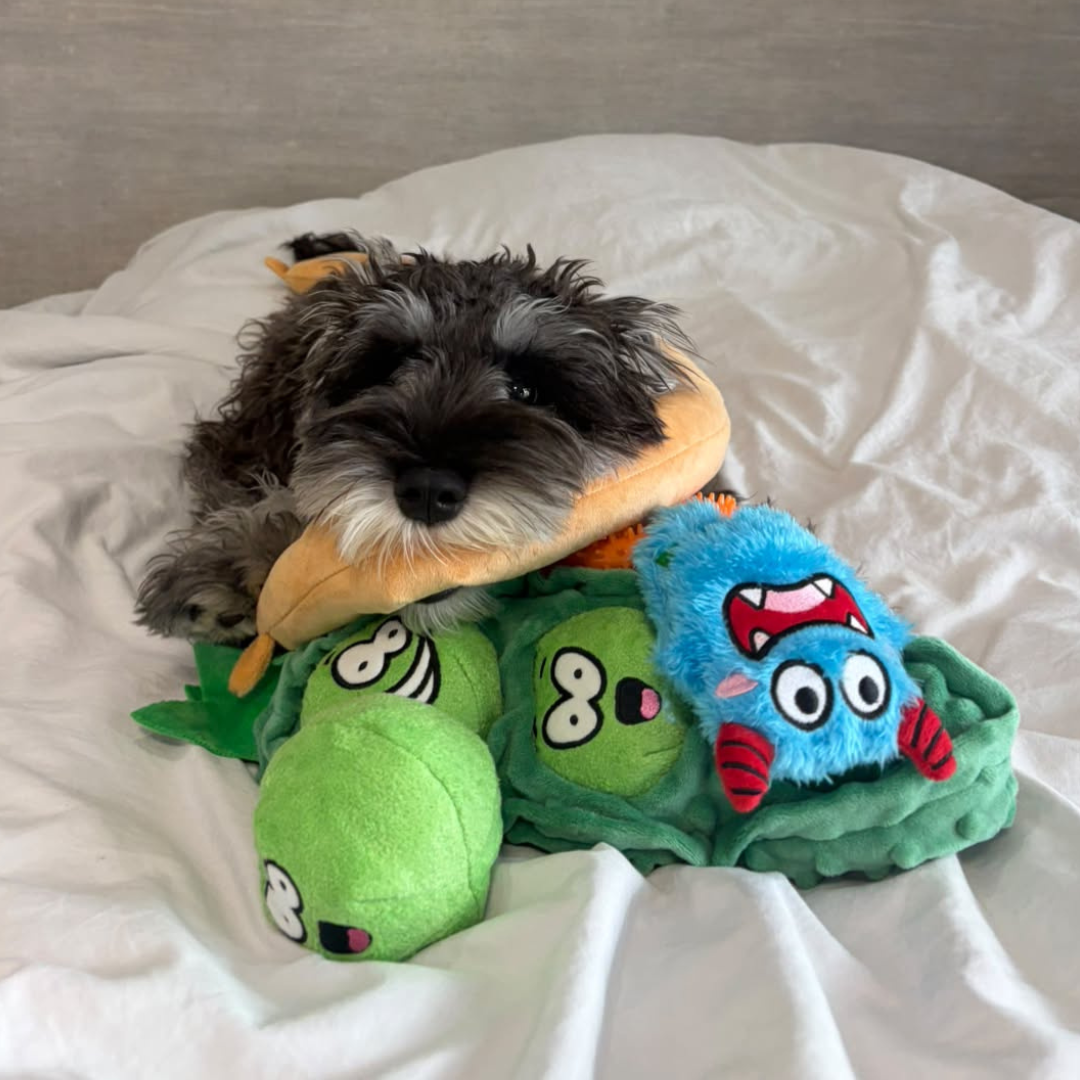 Bluebo Plush & Chew Ring 2-in-1 Dog Toy