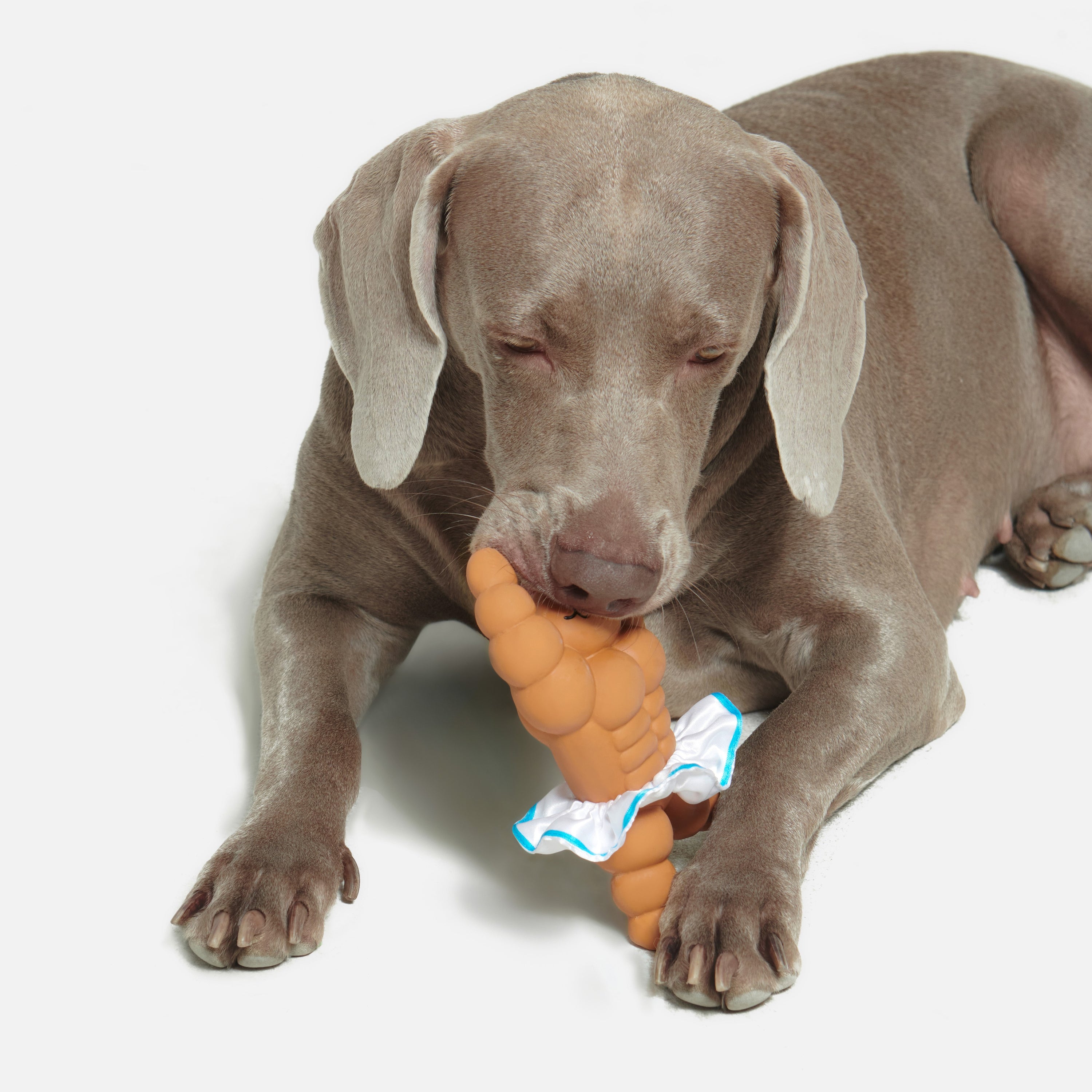 Ballet Bunny Tough Chew Squeaky Toy