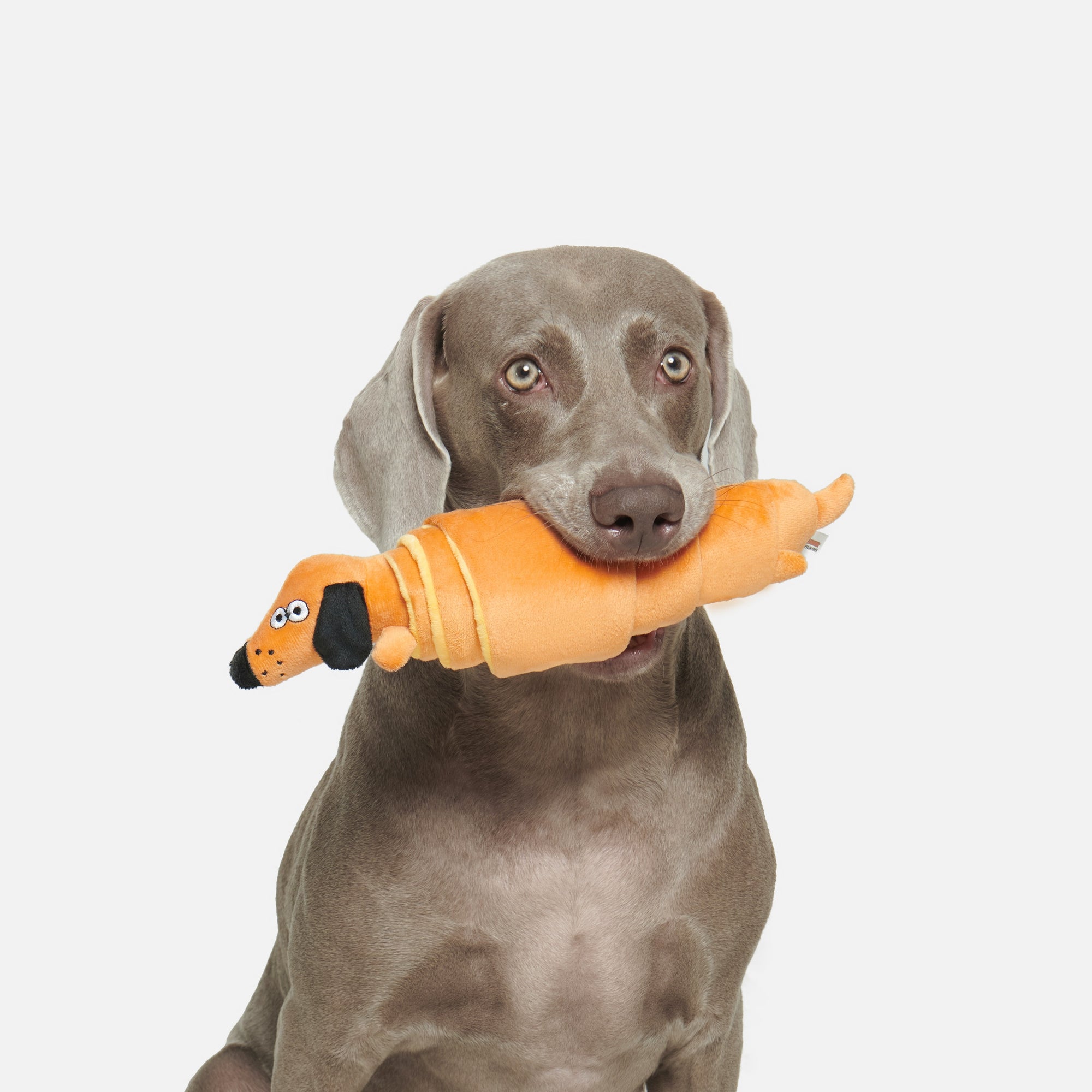 Croissant Squeaky Treat-Hiding Dog Toy