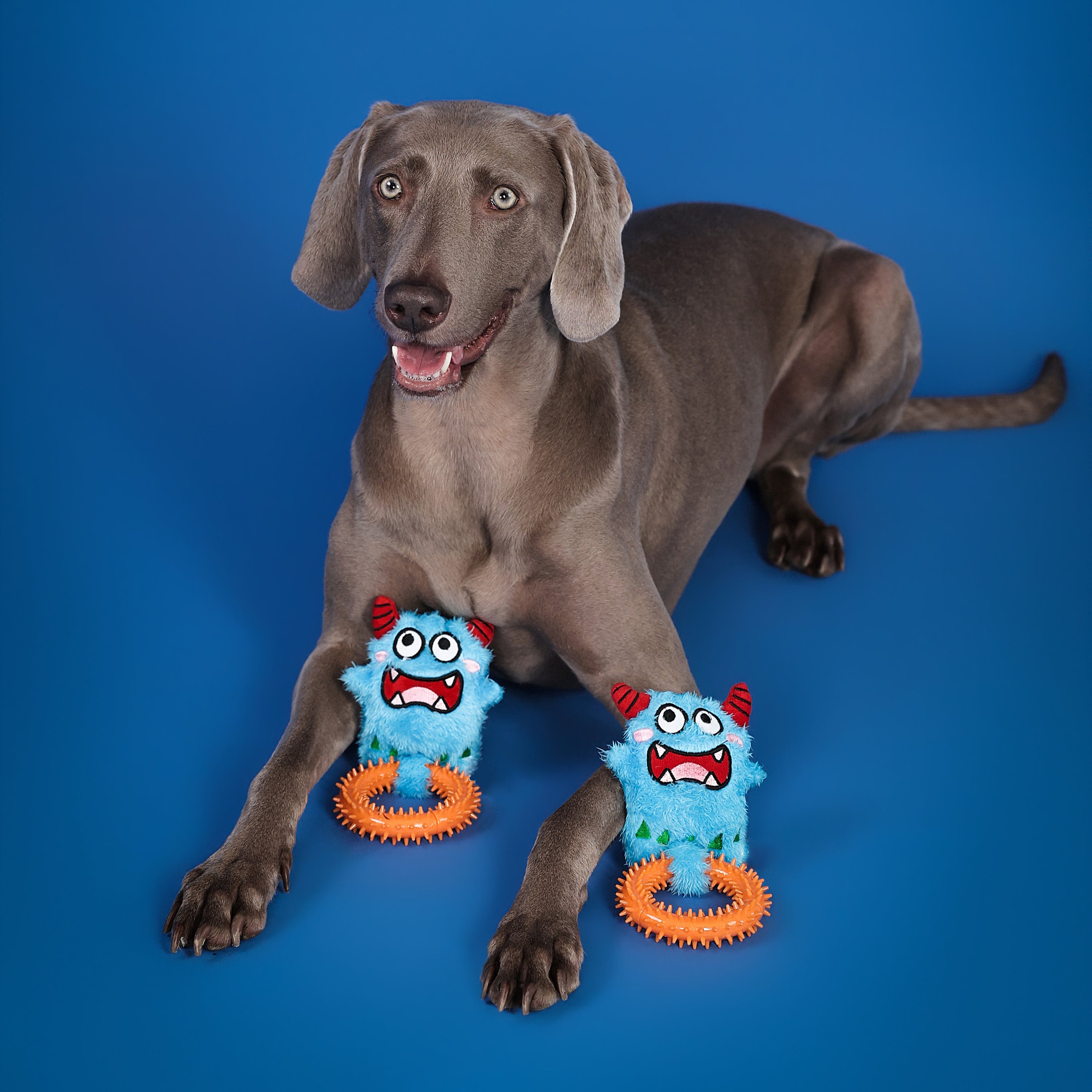 Bluebo ぬいぐるみ＆カミカミリング 2-in-1トイ（犬用）