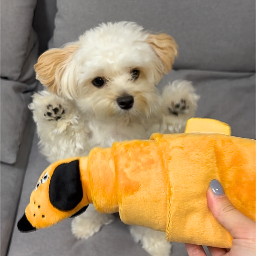 Croissant Squeaky Treat-Hiding Dog Toy