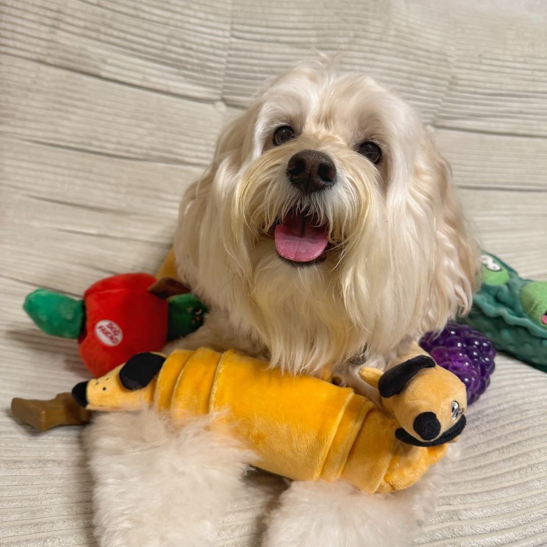 Croissant Squeaky Treat-Hiding Dog Toy