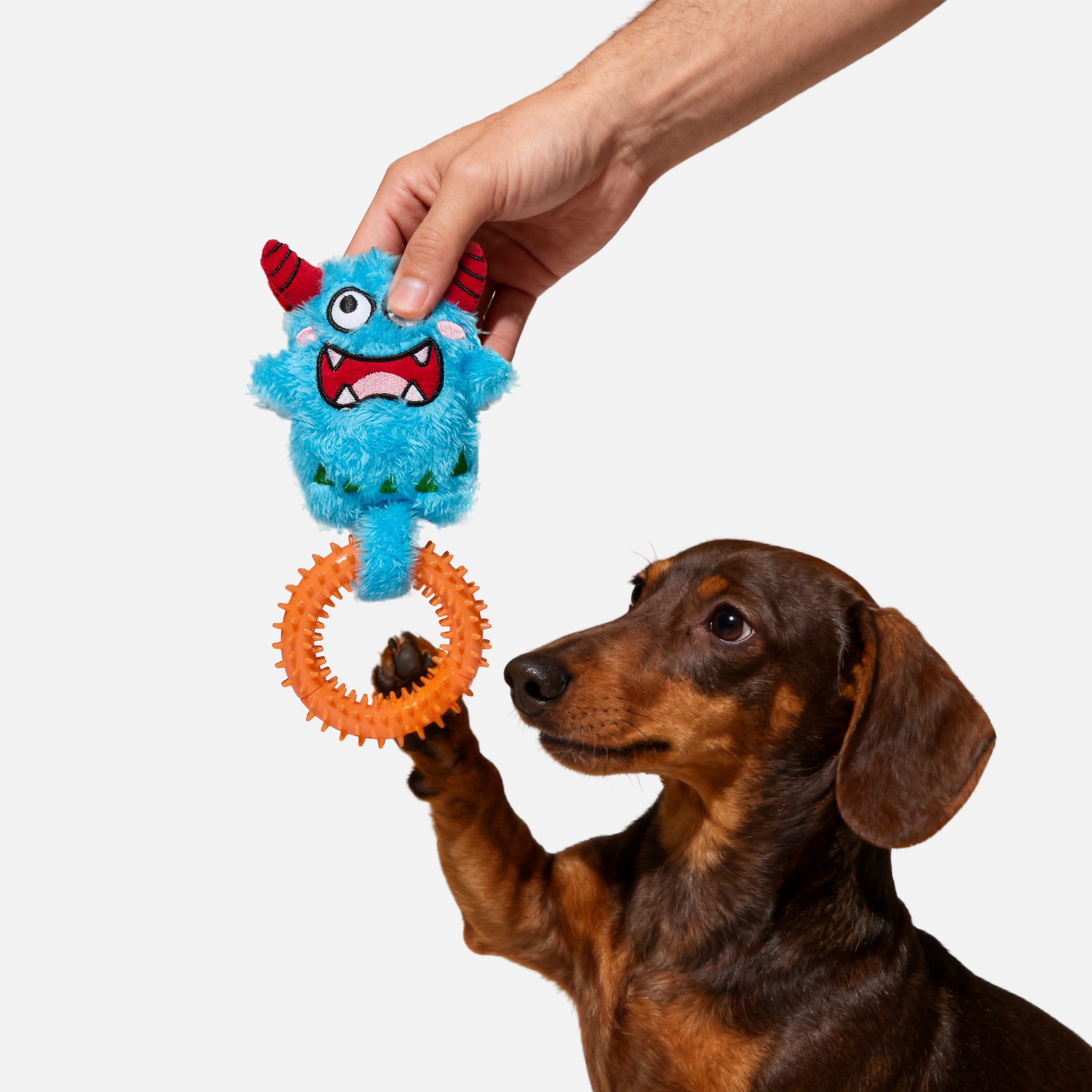 Bluebo ぬいぐるみ＆カミカミリング 2-in-1トイ（犬用）