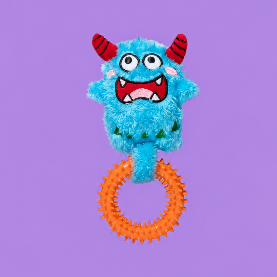 Bluebo Plush & Chew Ring 2-in-1 Dog Toy