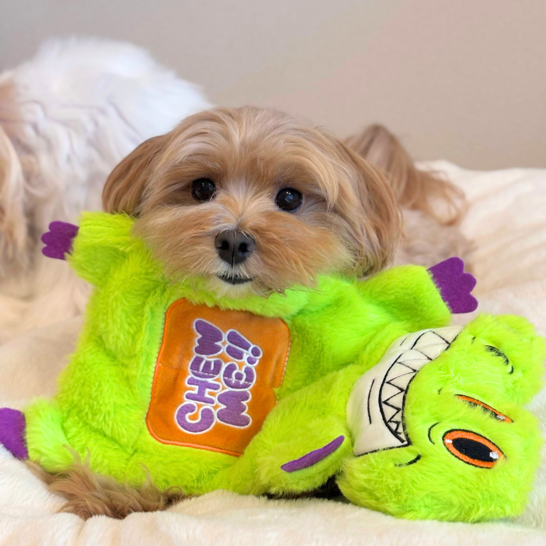 Multi-Squeak Gator Toy