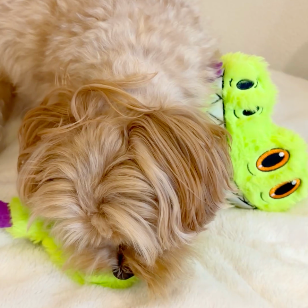 Multi-Squeak Gator Toy