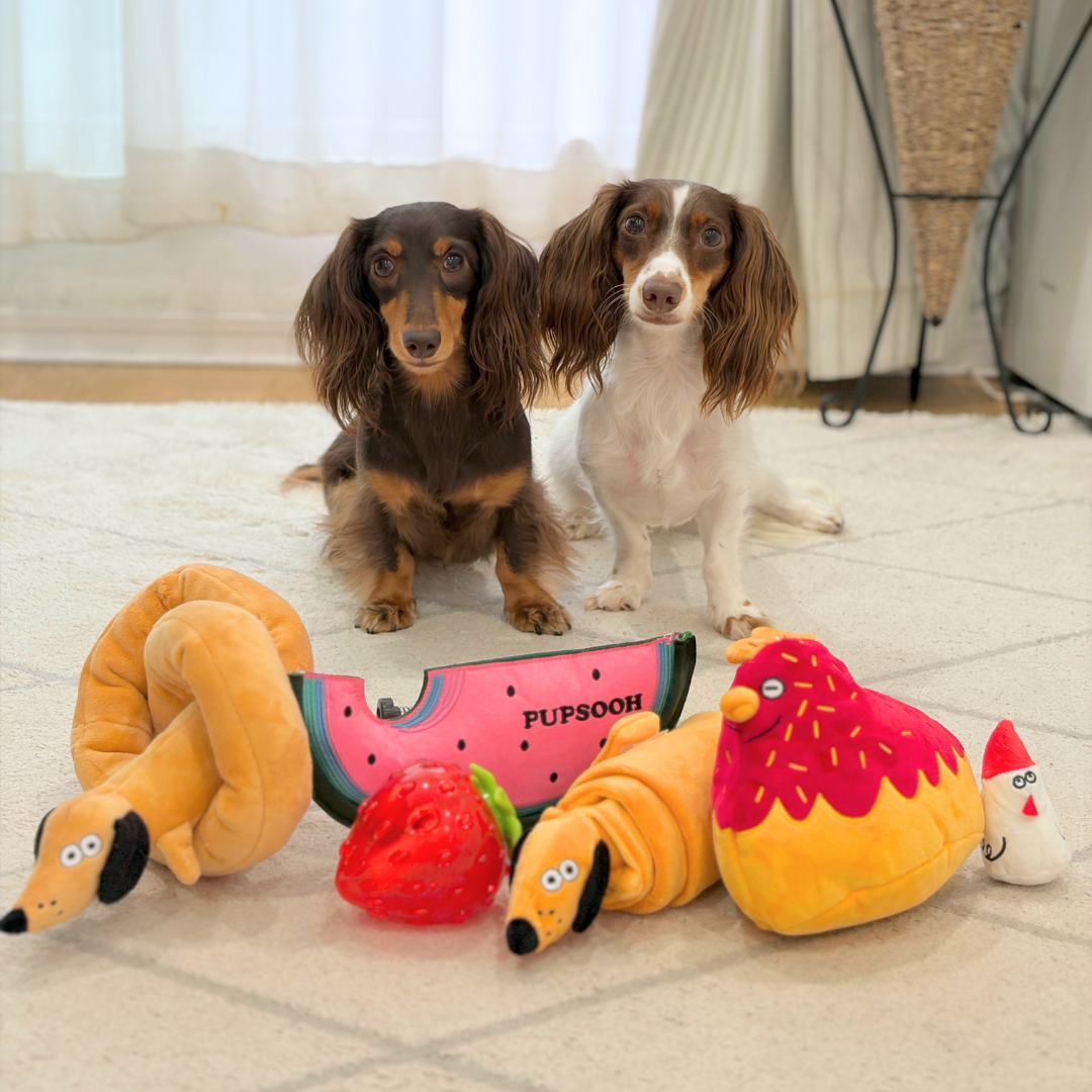 Hen & Chick Squeaky Treat-Hiding Plush Toy