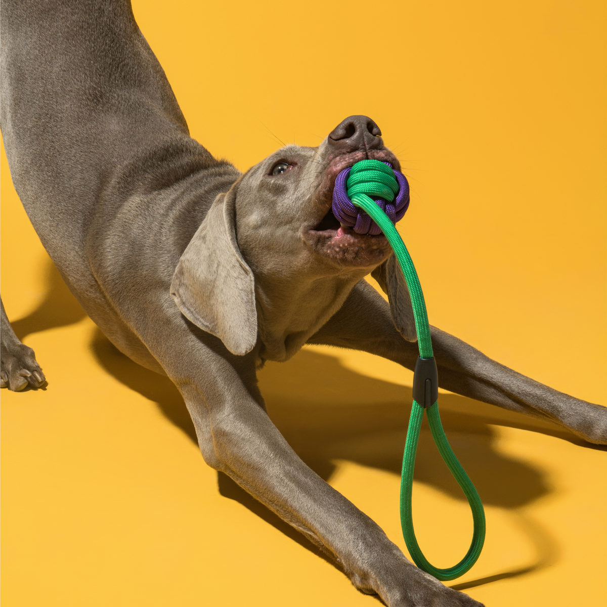 Long Rope Knot Ball Dog Toy