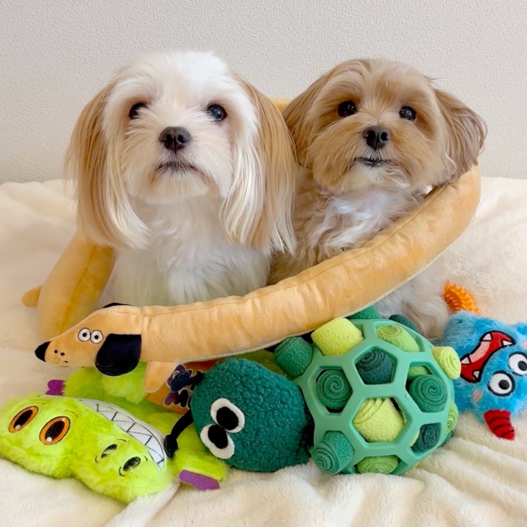 Caterpillar Squeaky Treat-Hiding Plush Toy