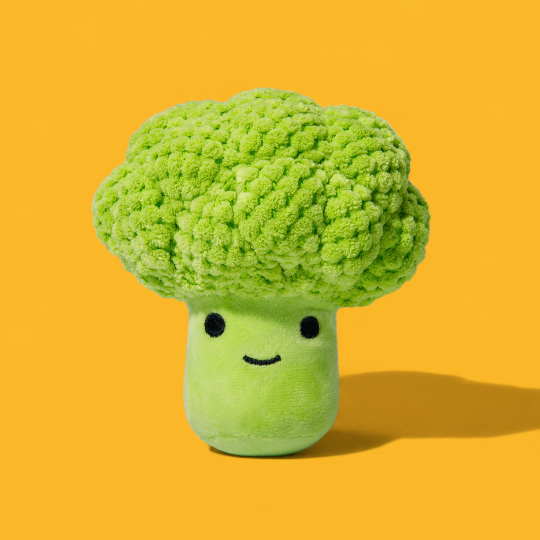 Squeaky Broccoli Plush Dog Toy